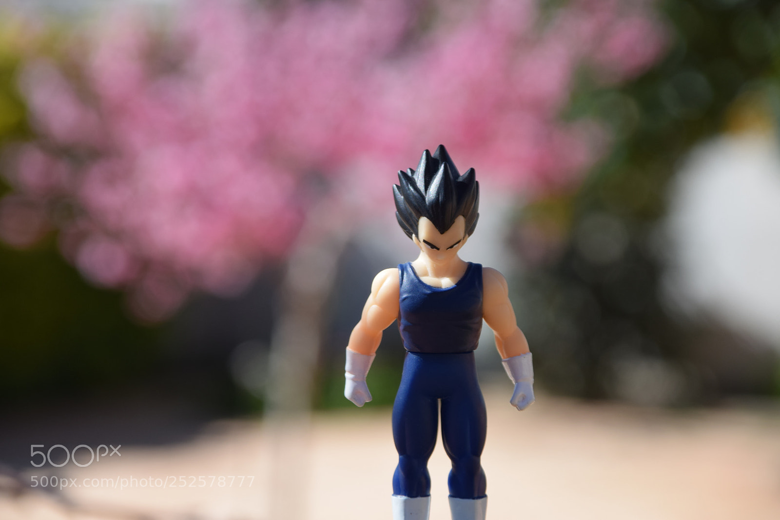 Nikon D3300 sample photo. Vegetta dbz photography