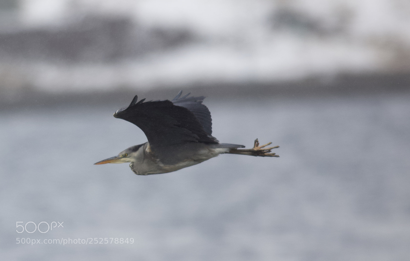 Canon EOS 7D Mark II sample photo. Faroe islands photography