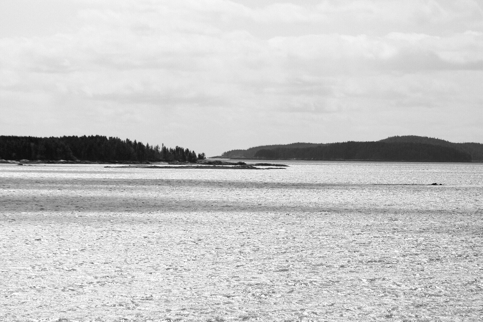 Canon EOS 1300D (EOS Rebel T6 / EOS Kiss X80) sample photo. Silver sea photography