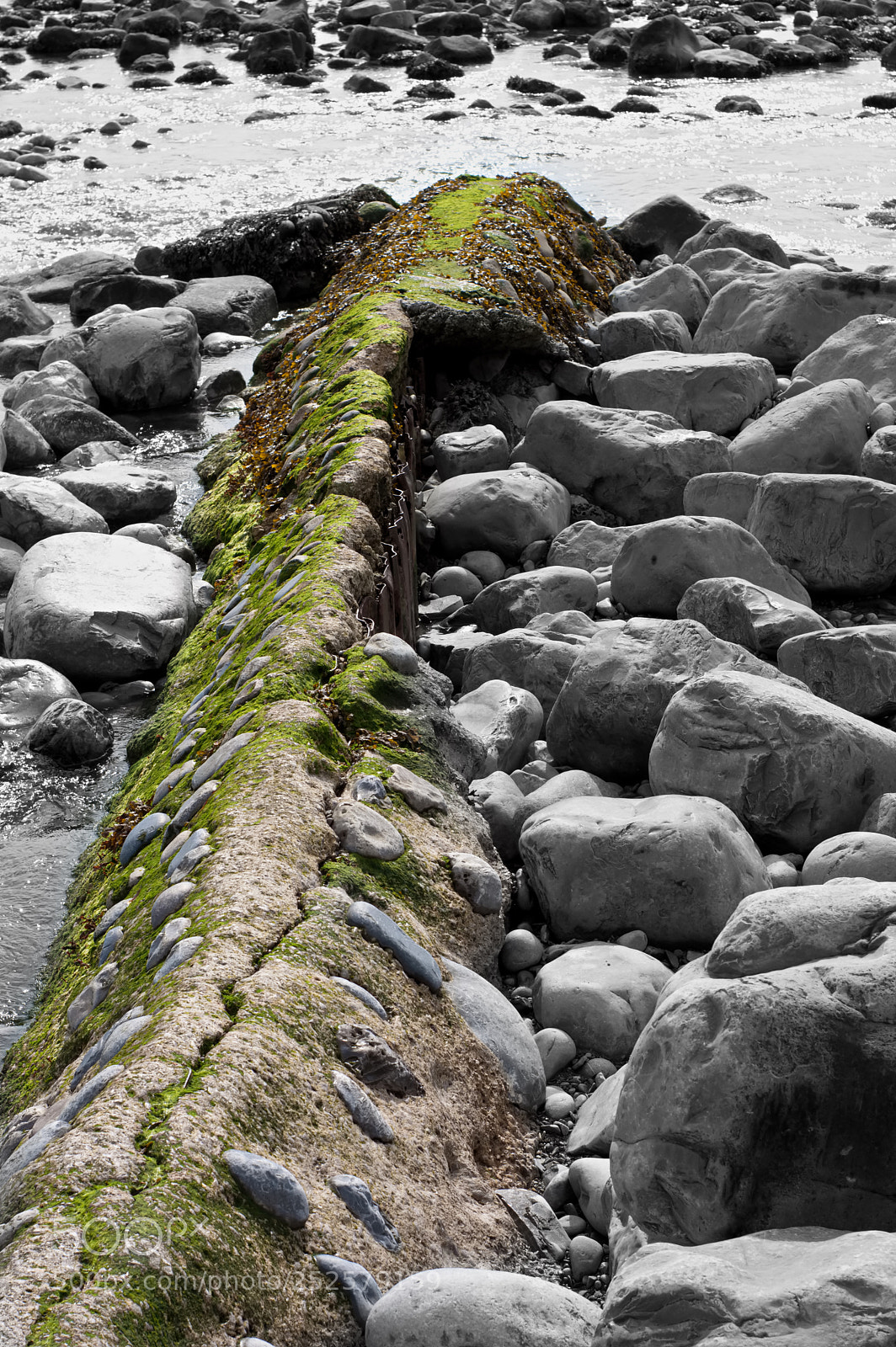 Nikon D3200 sample photo. Green rock photography