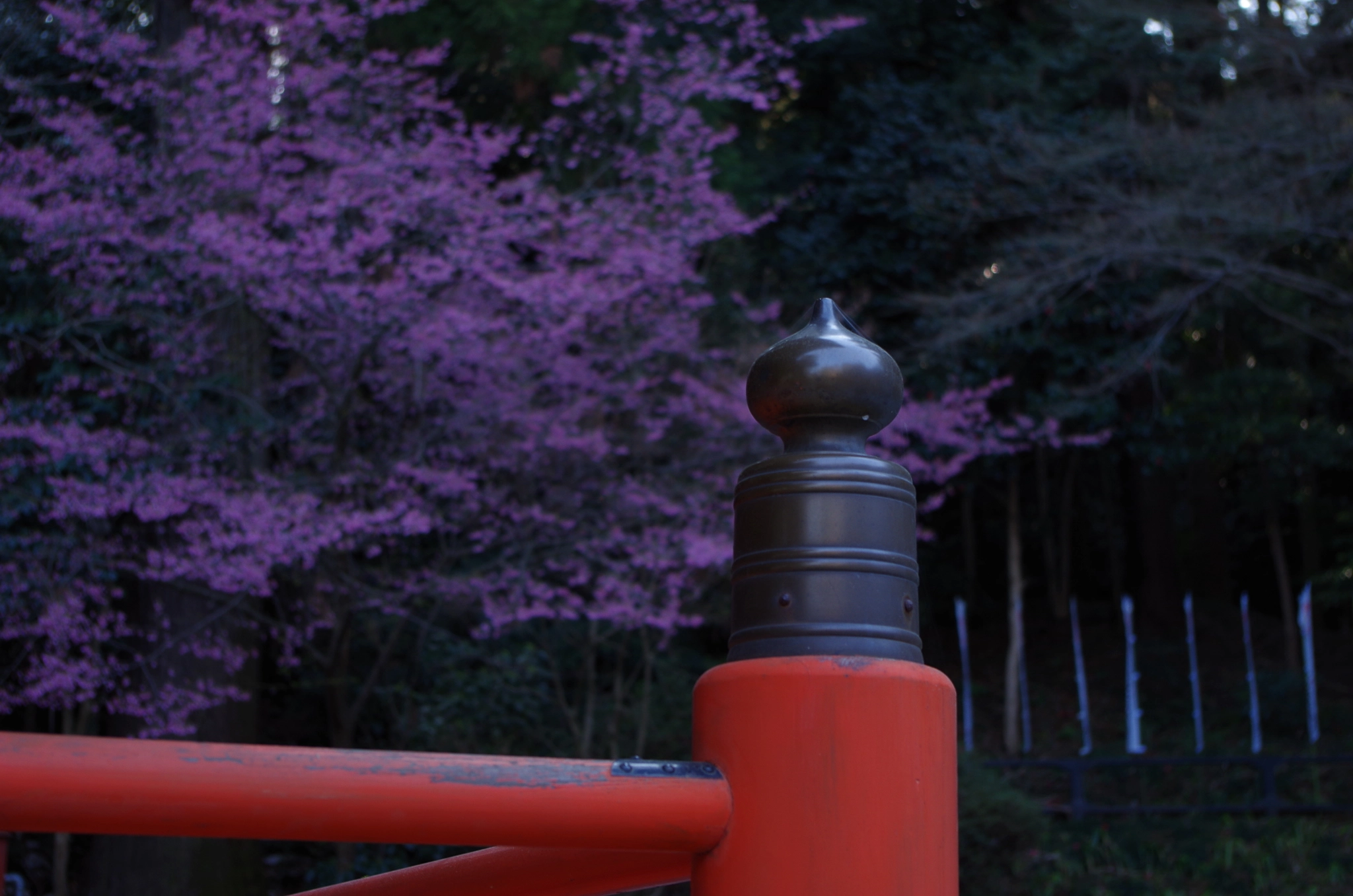 smc PENTAX-DA L 18-55mm F3.5-5.6 sample photo. Sacred image photography