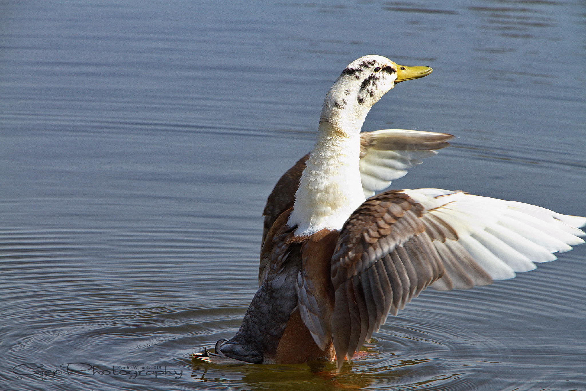 Canon EOS 7D sample photo. Ready for takeoff photography