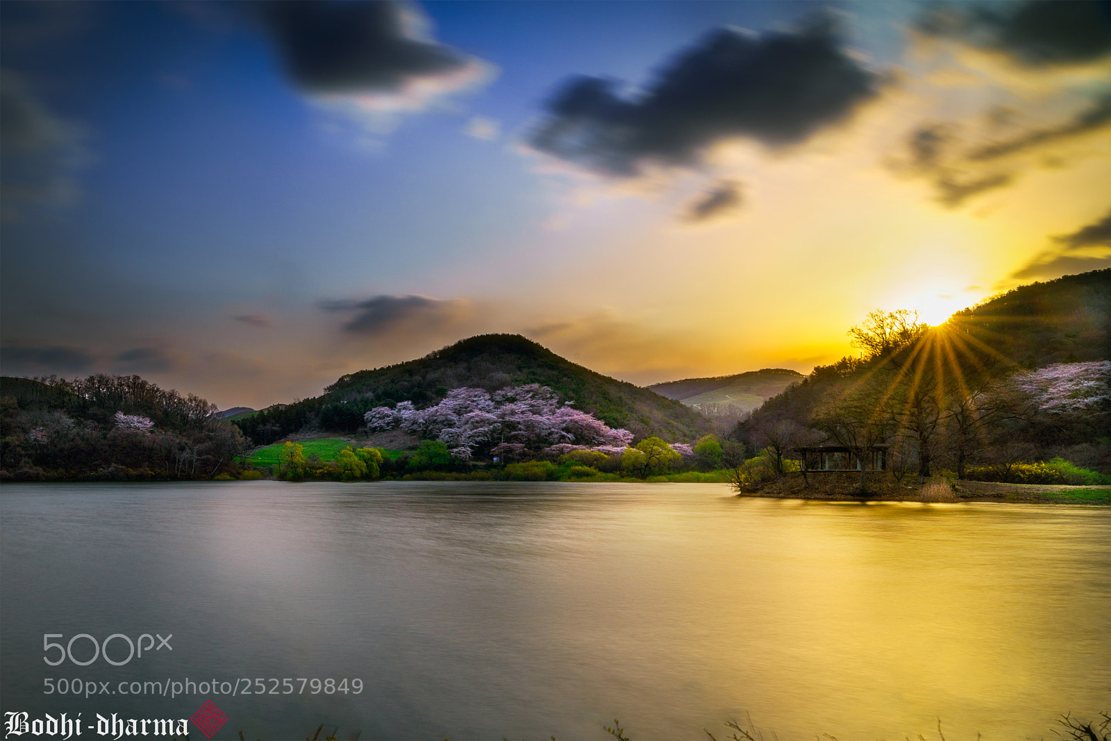 Sony a7R III sample photo. 용비지 photography