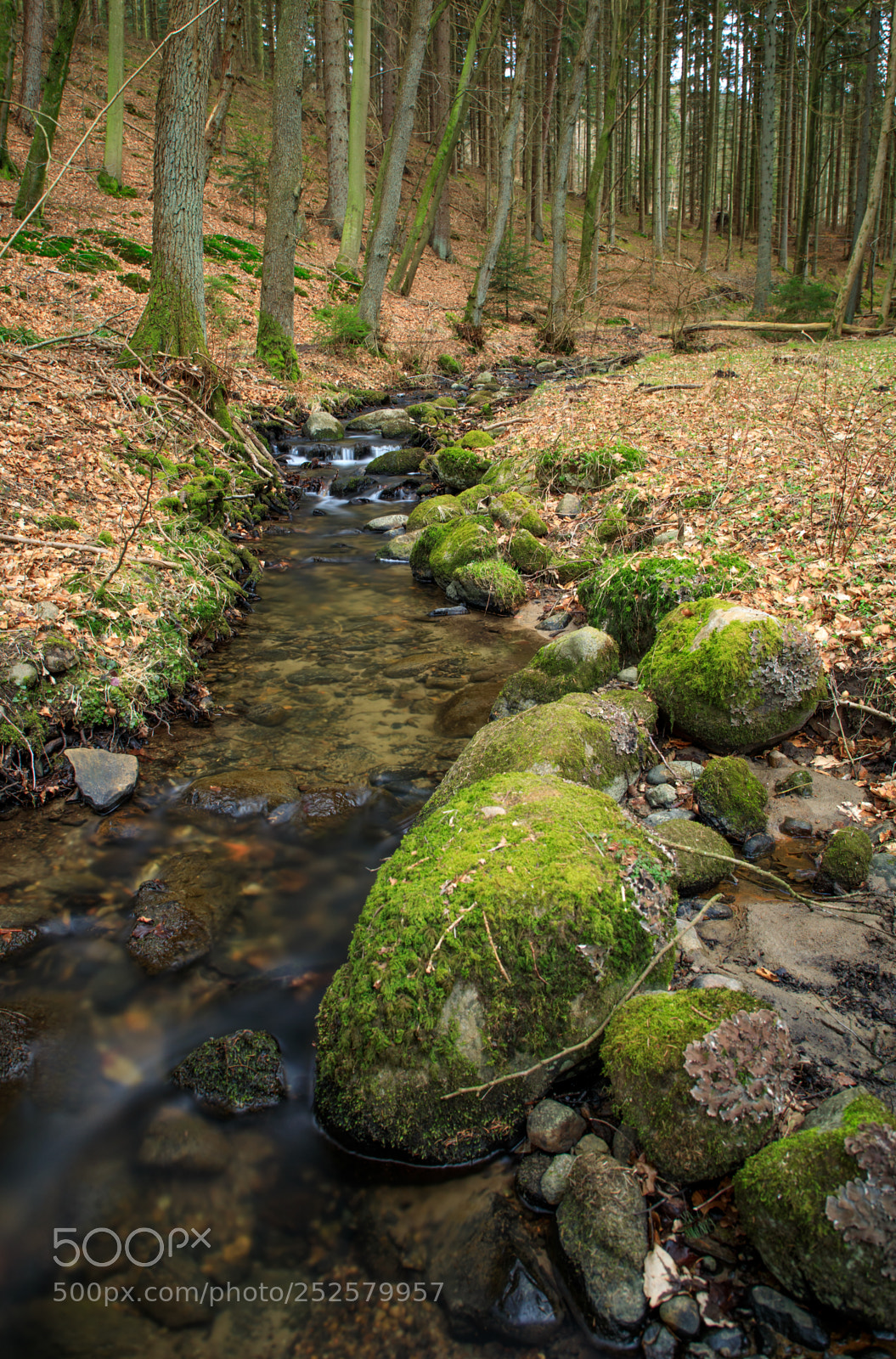 Canon EOS 5D Mark IV sample photo. Easter river photography