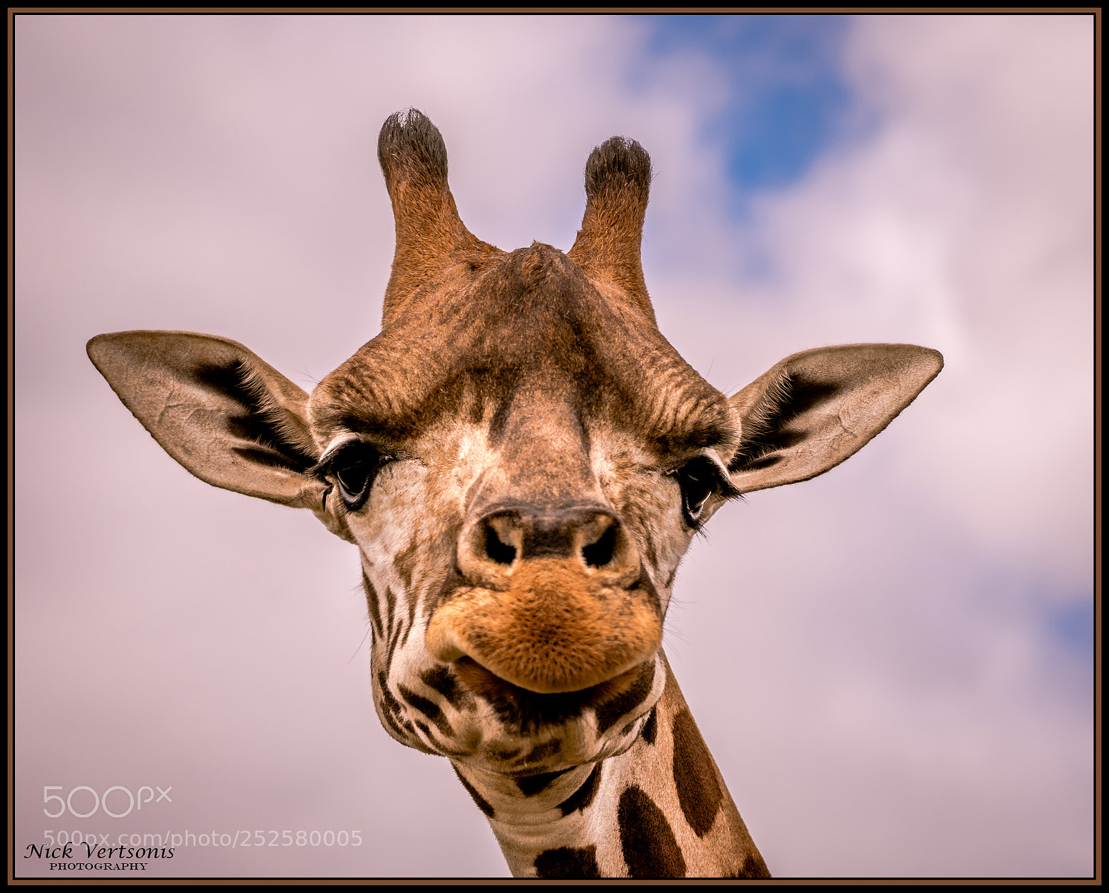 Nikon D7200 sample photo. Head in the clouds... photography