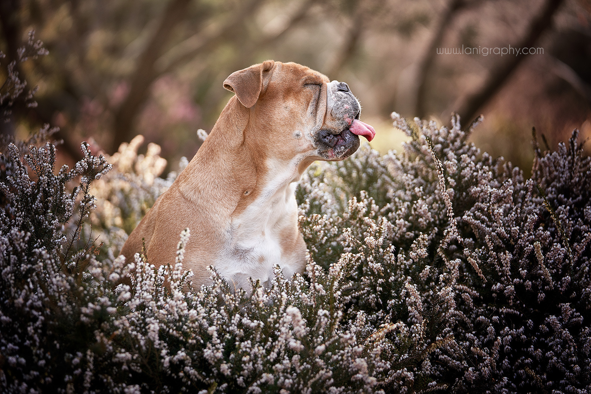 Sony FE 70-200mm F2.8 GM OSS sample photo. Flocke photography
