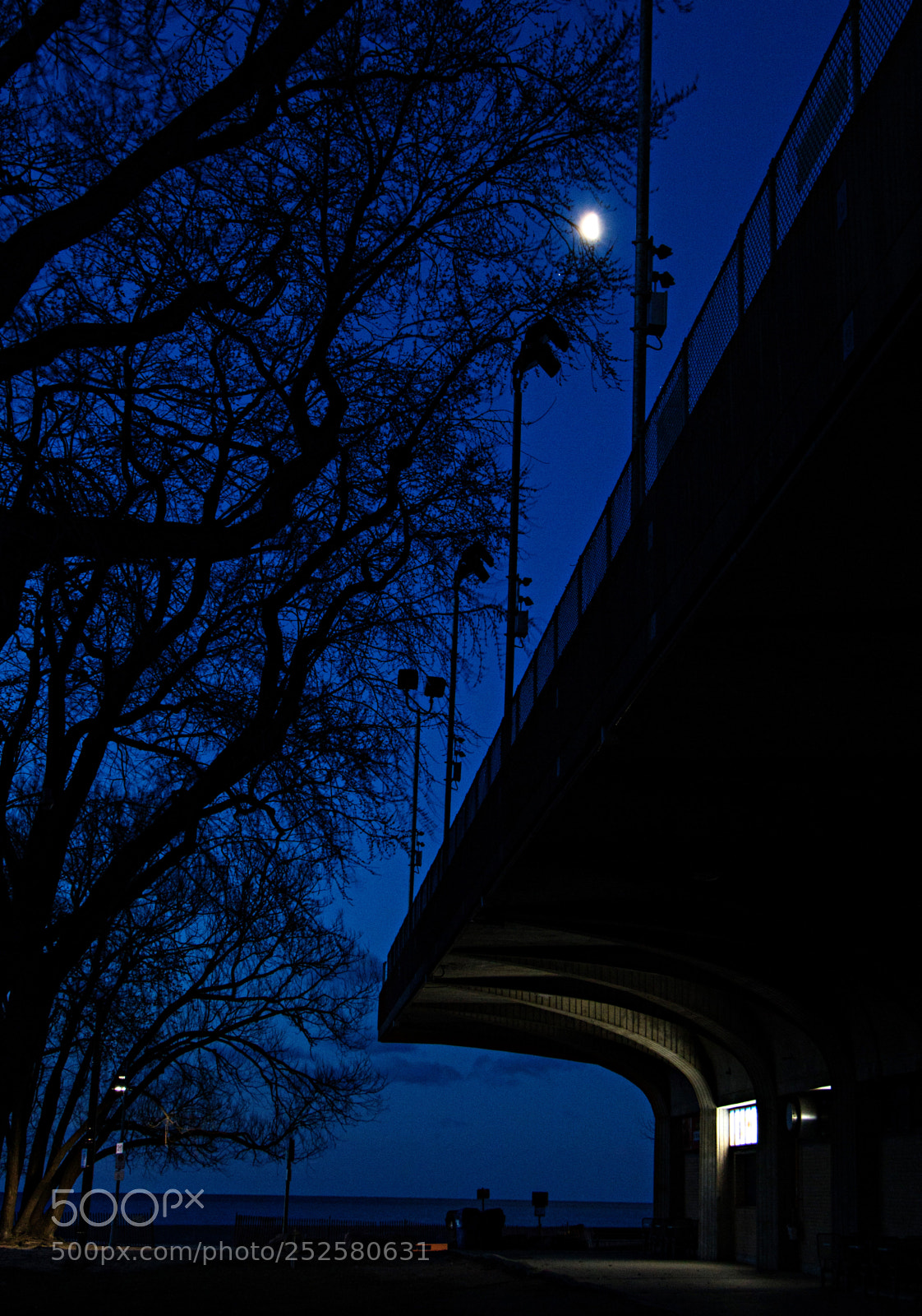 Canon EOS 70D sample photo. Silohuettes and half moon photography