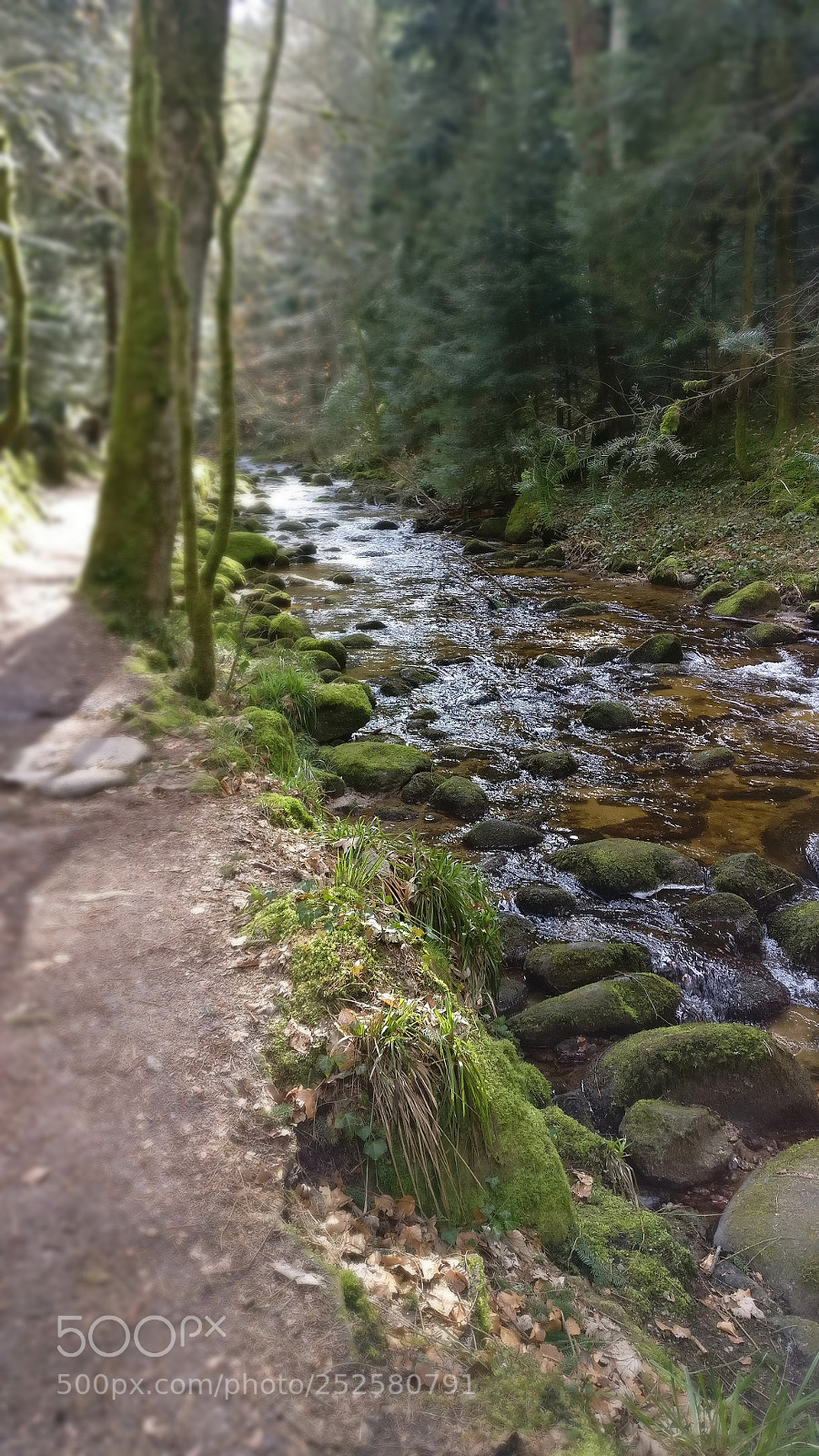 OnePlus A3003 sample photo. Stream photography
