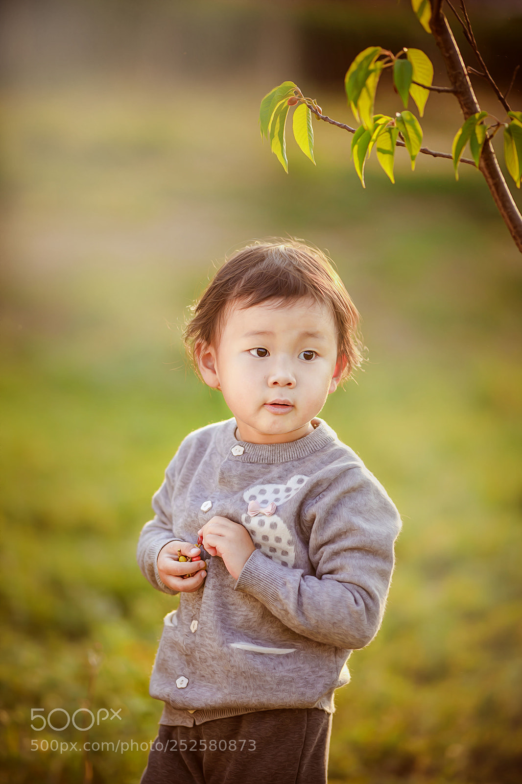 Canon EOS 5D Mark IV sample photo. Untitled photography