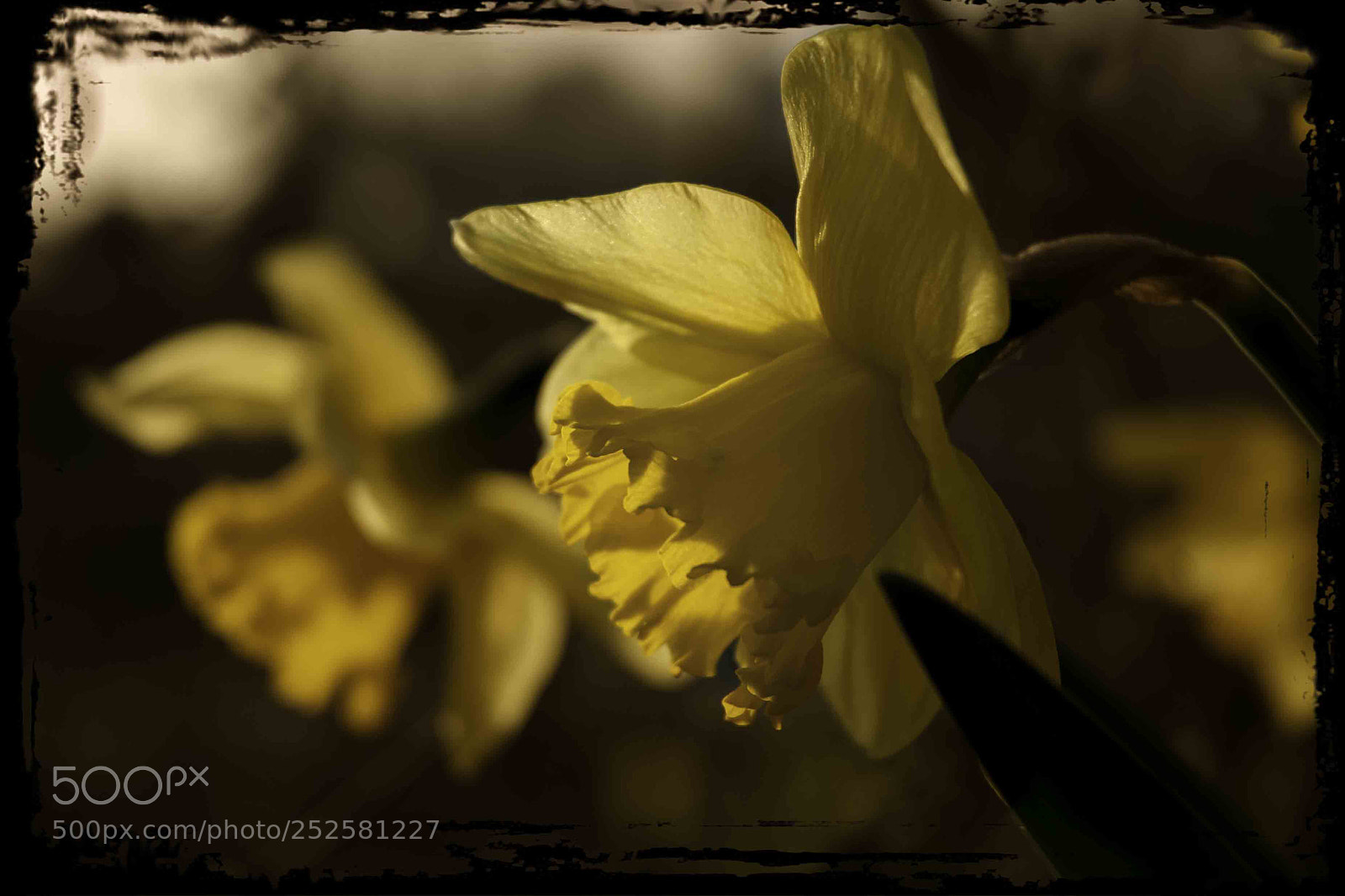 Nikon D200 sample photo. Lente photography