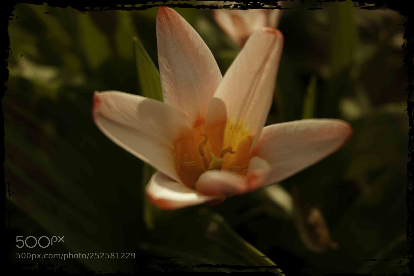 Nikon D200 sample photo. Lente photography