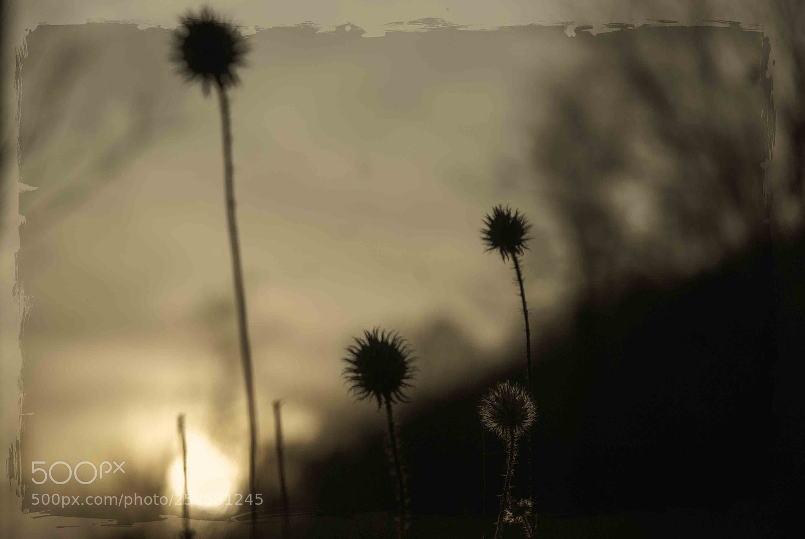 Nikon D200 sample photo. Lente photography