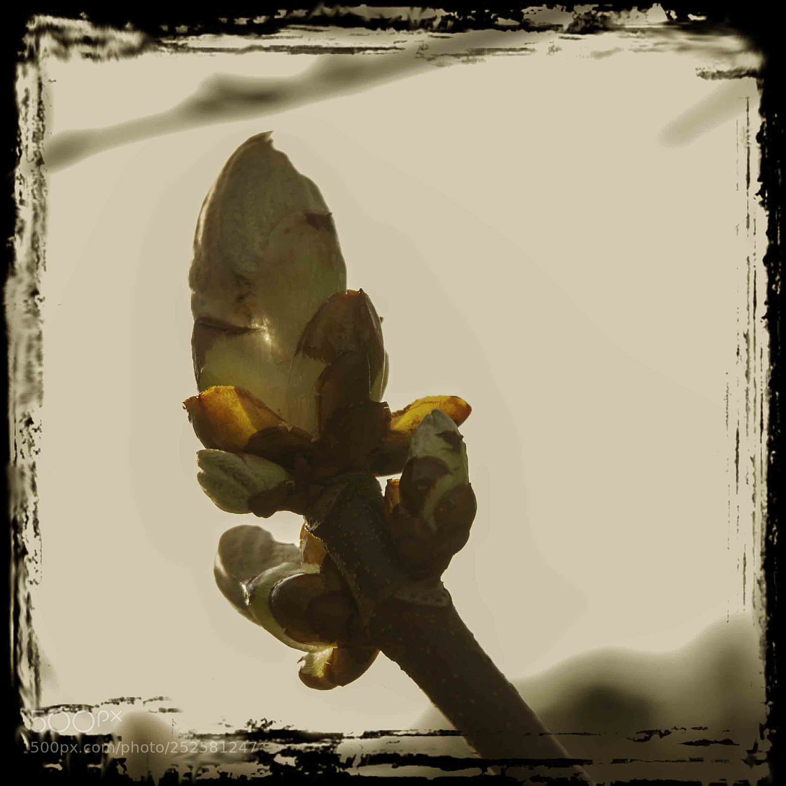 Nikon D200 sample photo. Lente photography
