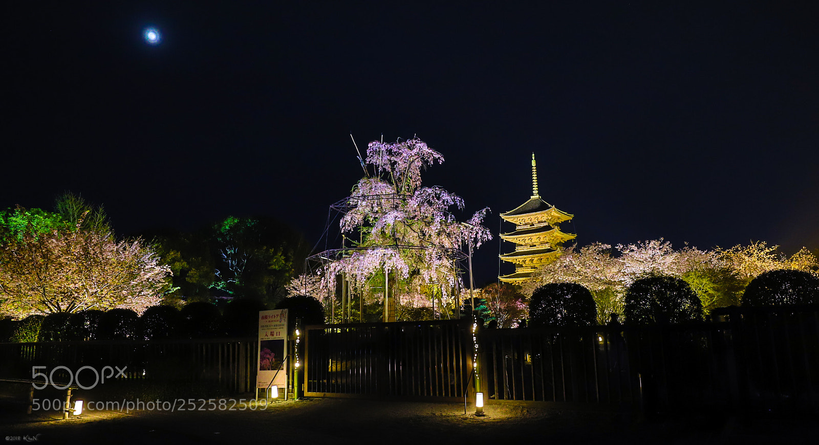 Canon EOS 6D Mark II sample photo. Toji photography