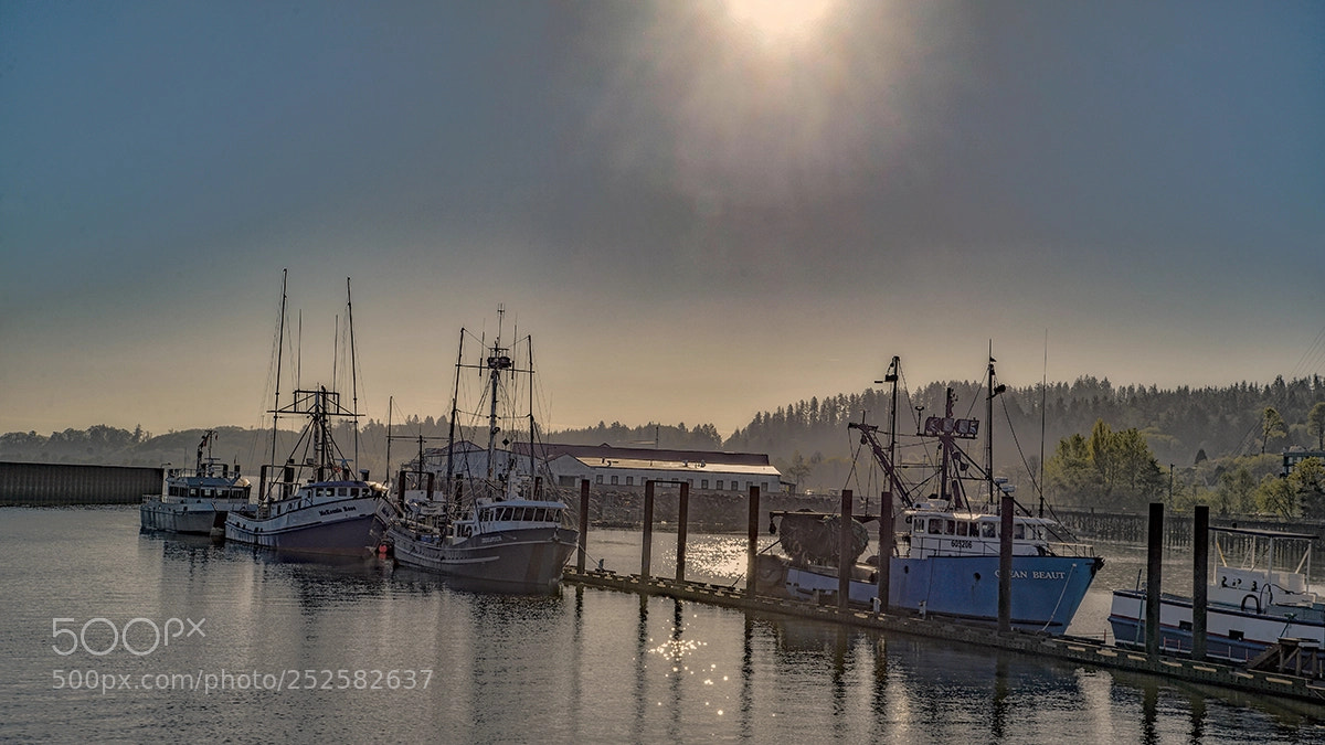 Nikon D600 sample photo. Astoria dock photography