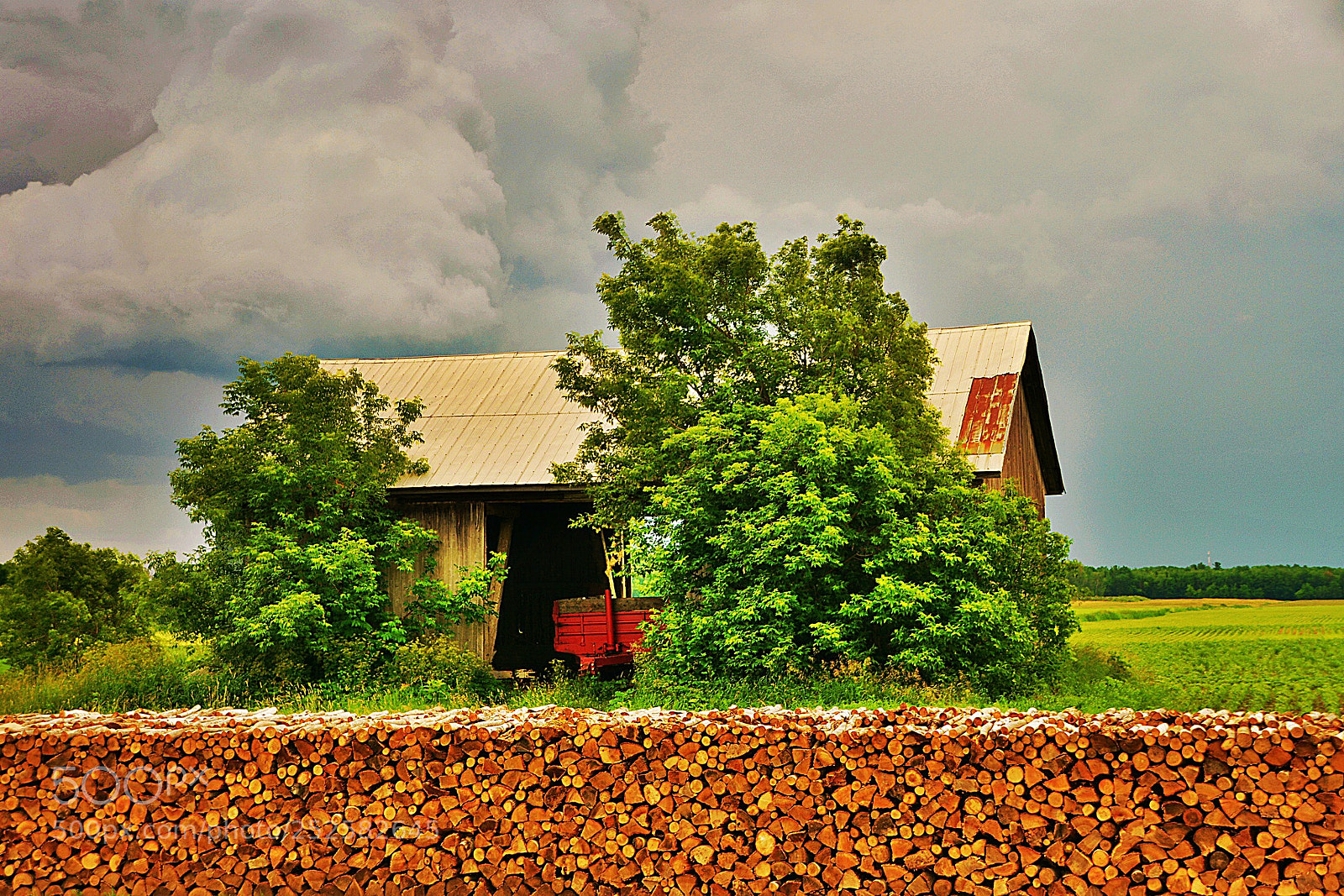 Nikon D7100 sample photo. Corde de bois photography