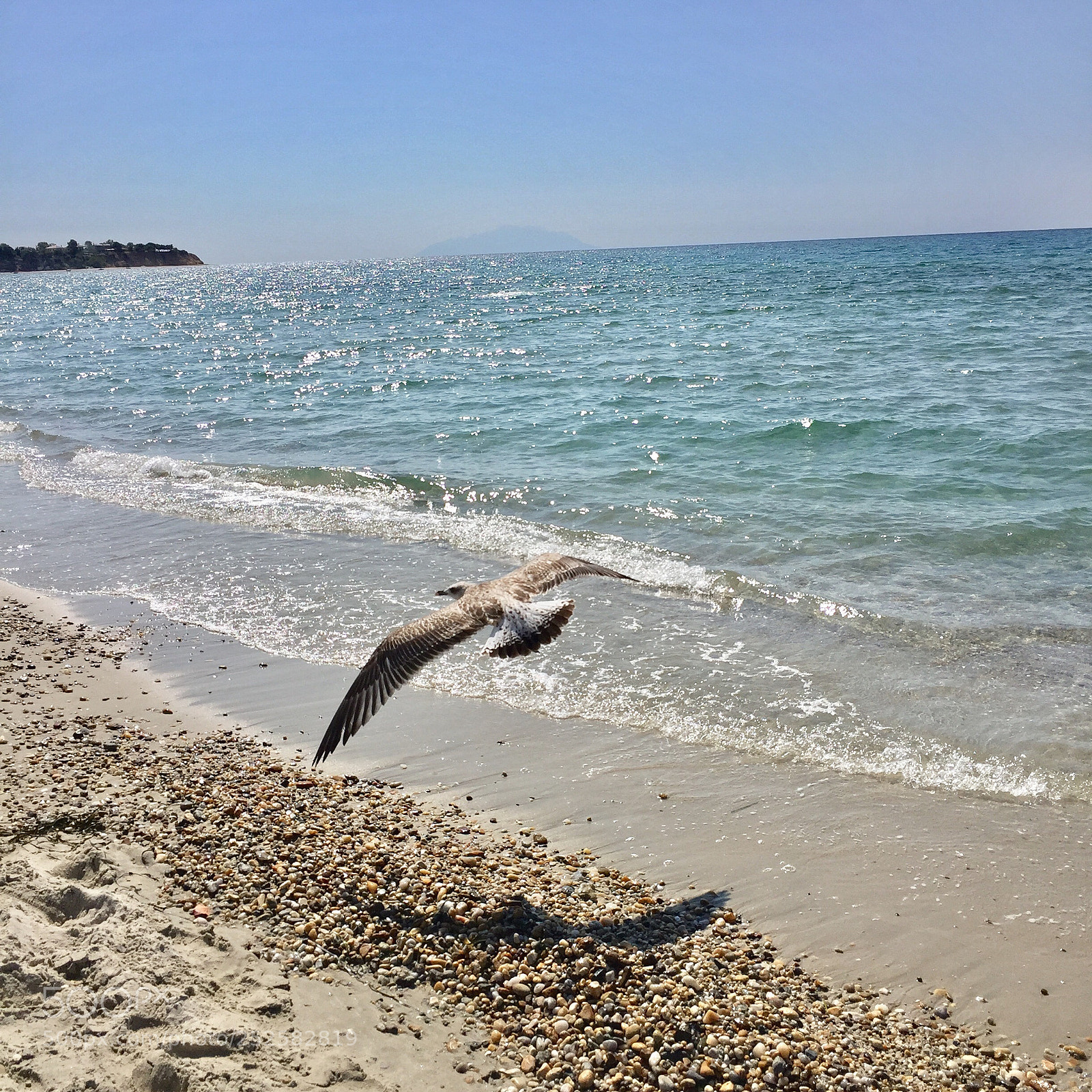Apple iPhone 6 sample photo. Untitled photography