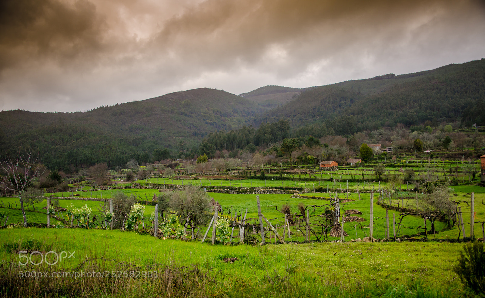 Nikon D7000 sample photo. The hills are alive photography