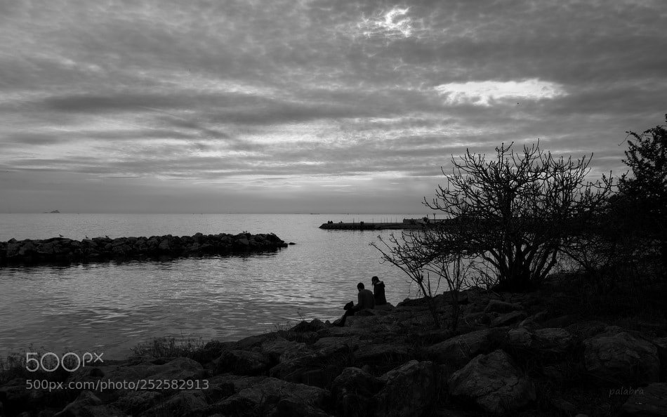 Samsung NX1 sample photo. ... photography