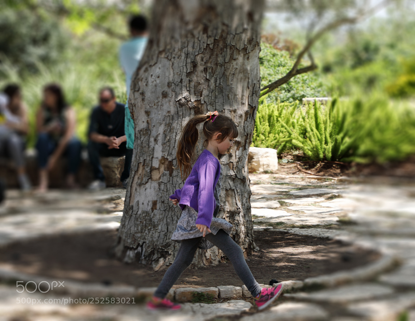 Canon EOS 5D Mark IV sample photo. =--= photography