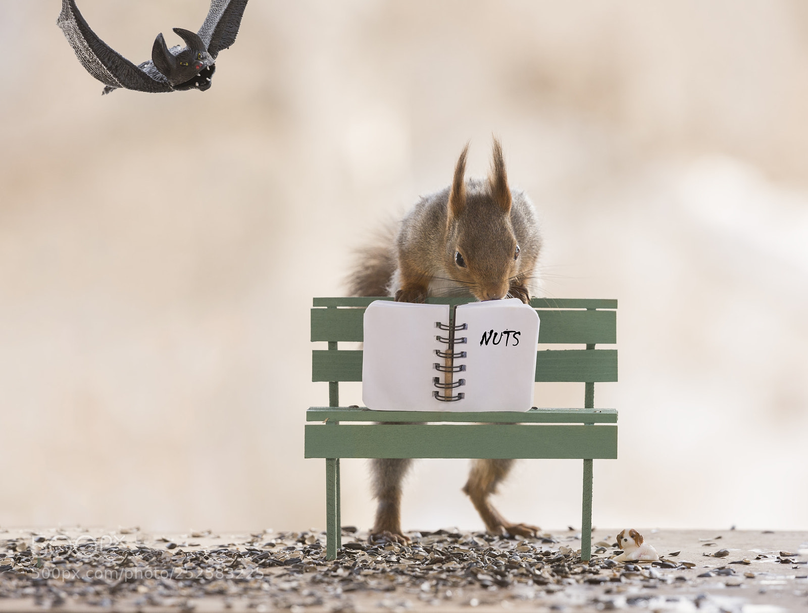 Nikon D810 sample photo. Red squirrel with a photography