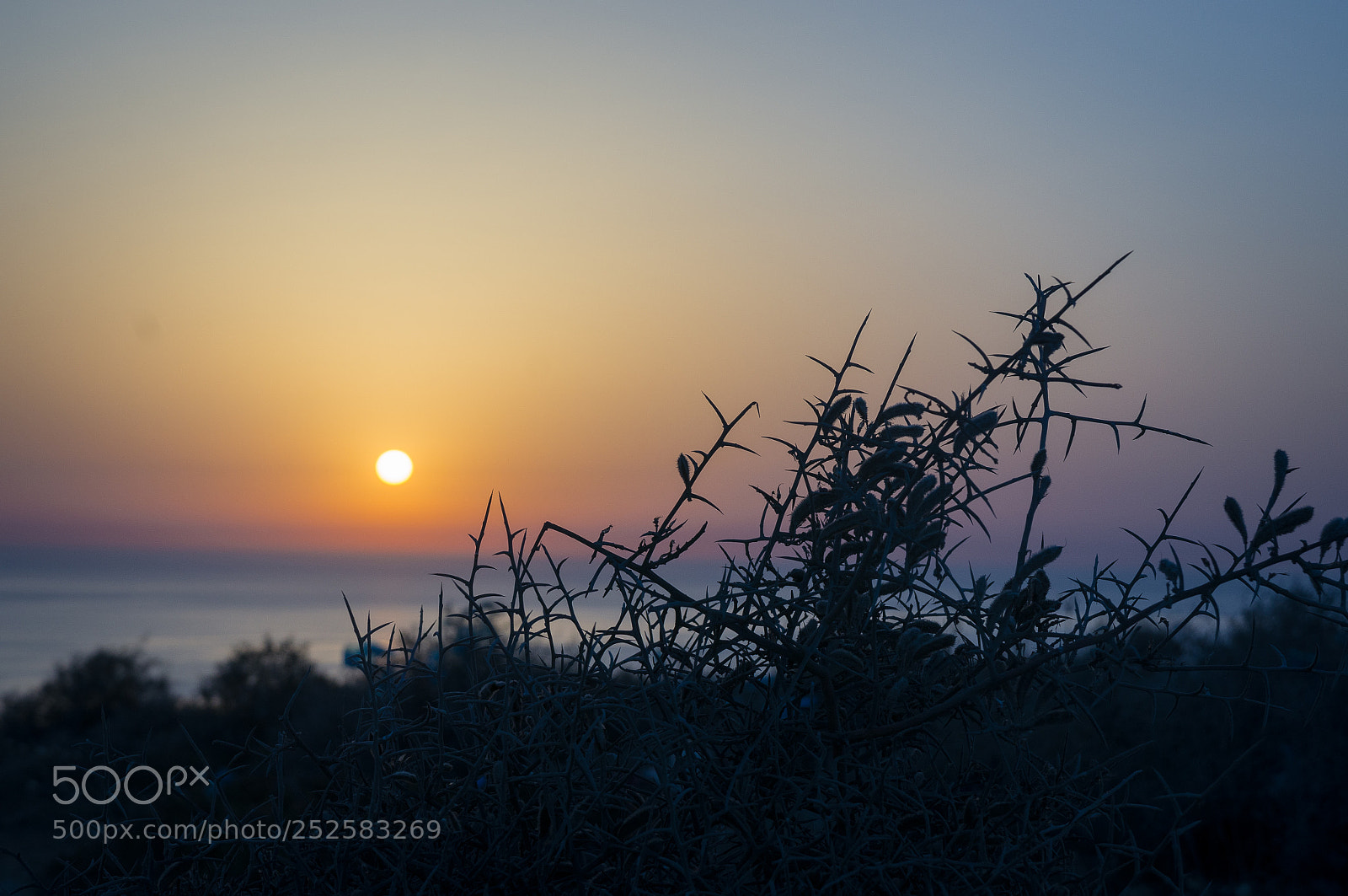 Sony Alpha NEX-5R sample photo. Mstr-sunrise photography