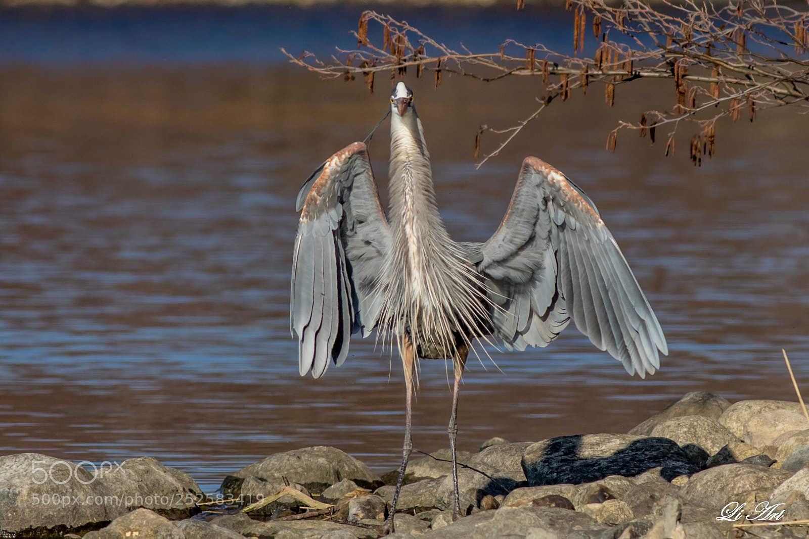 Canon EOS 7D Mark II sample photo. Show off photography