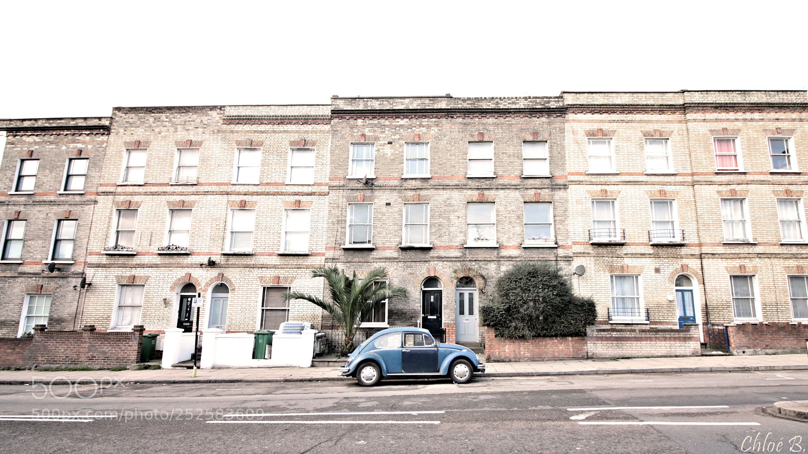 Canon EOS 70D sample photo. Beetle in london photography