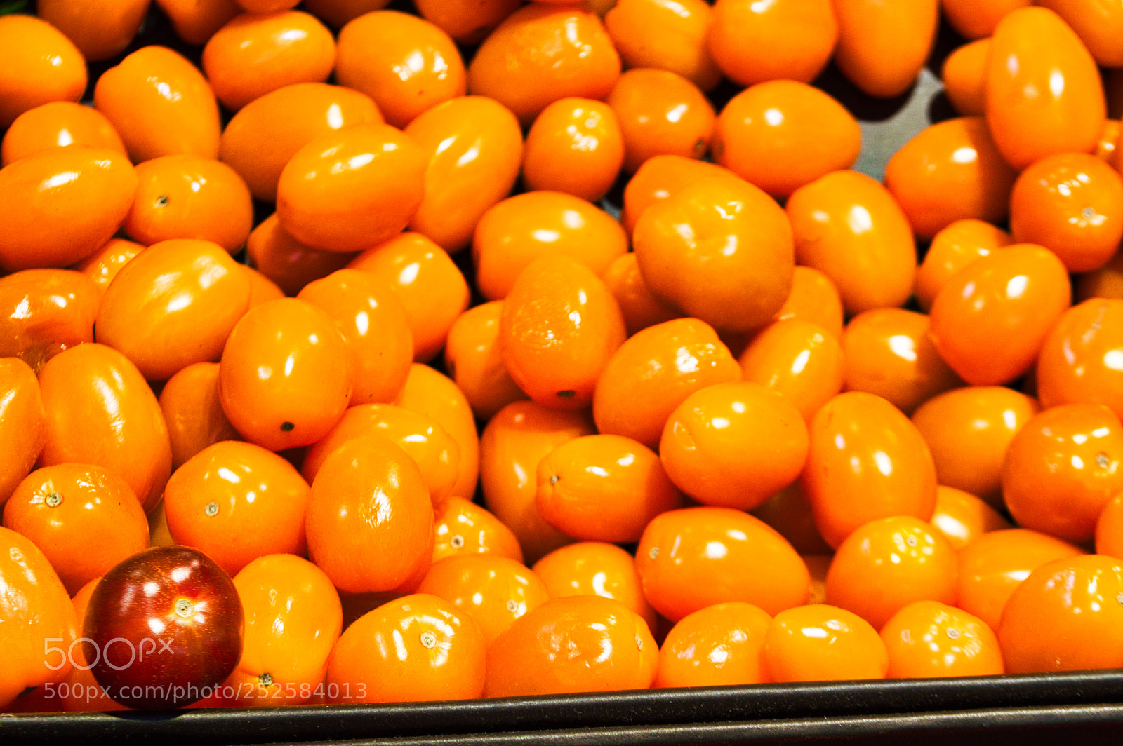 Nikon D3200 sample photo. Think different photography