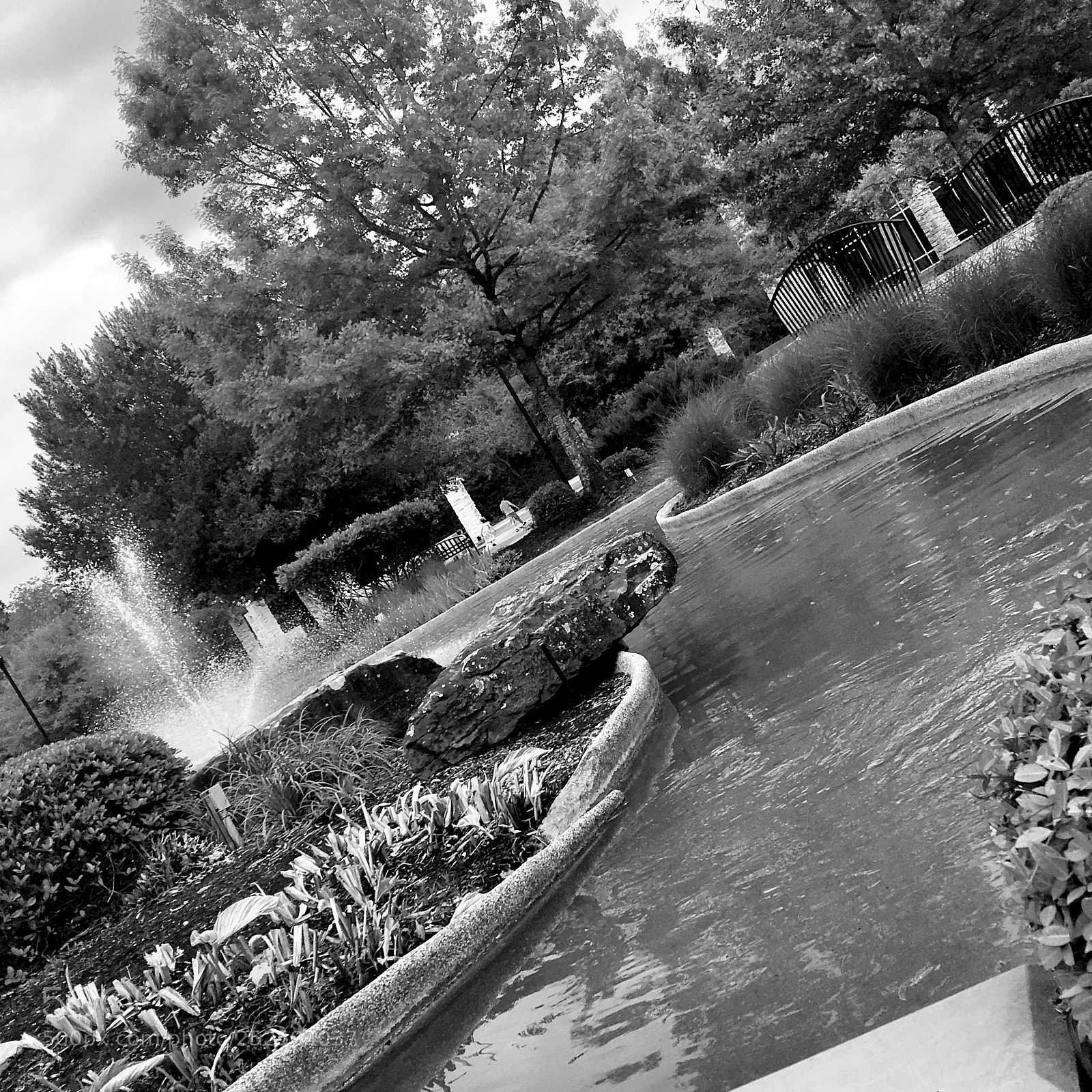 Apple iPhone 6s Plus sample photo. #woodlandschurch photography