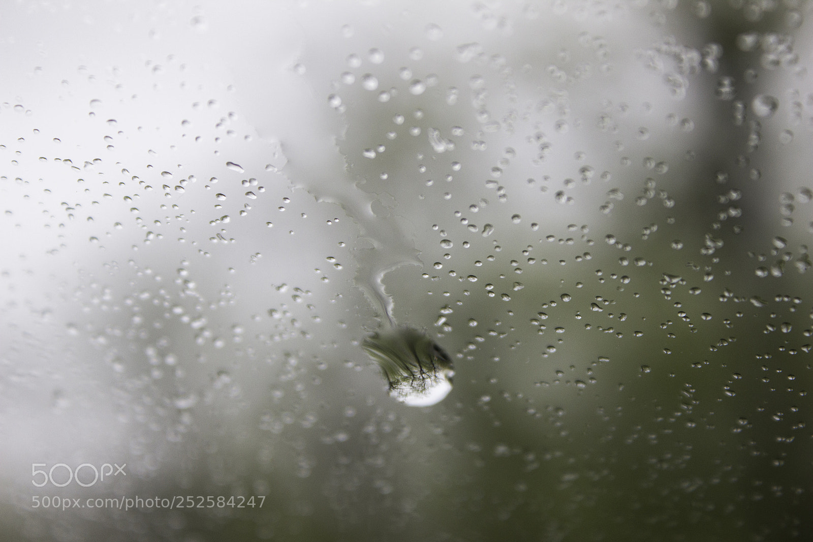 Canon EOS 600D (Rebel EOS T3i / EOS Kiss X5) sample photo. Rain photography