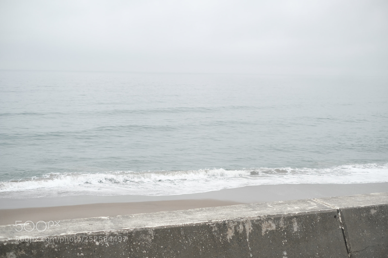 Fujifilm X-T20 sample photo. Untitled photography