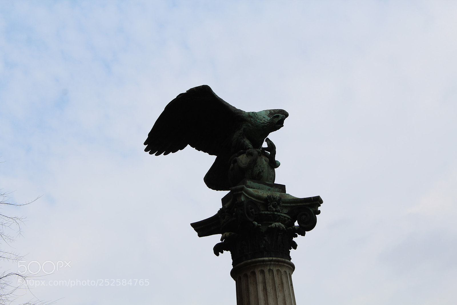 Canon EOS 1300D (EOS Rebel T6 / EOS Kiss X80) sample photo. One of birds of photography