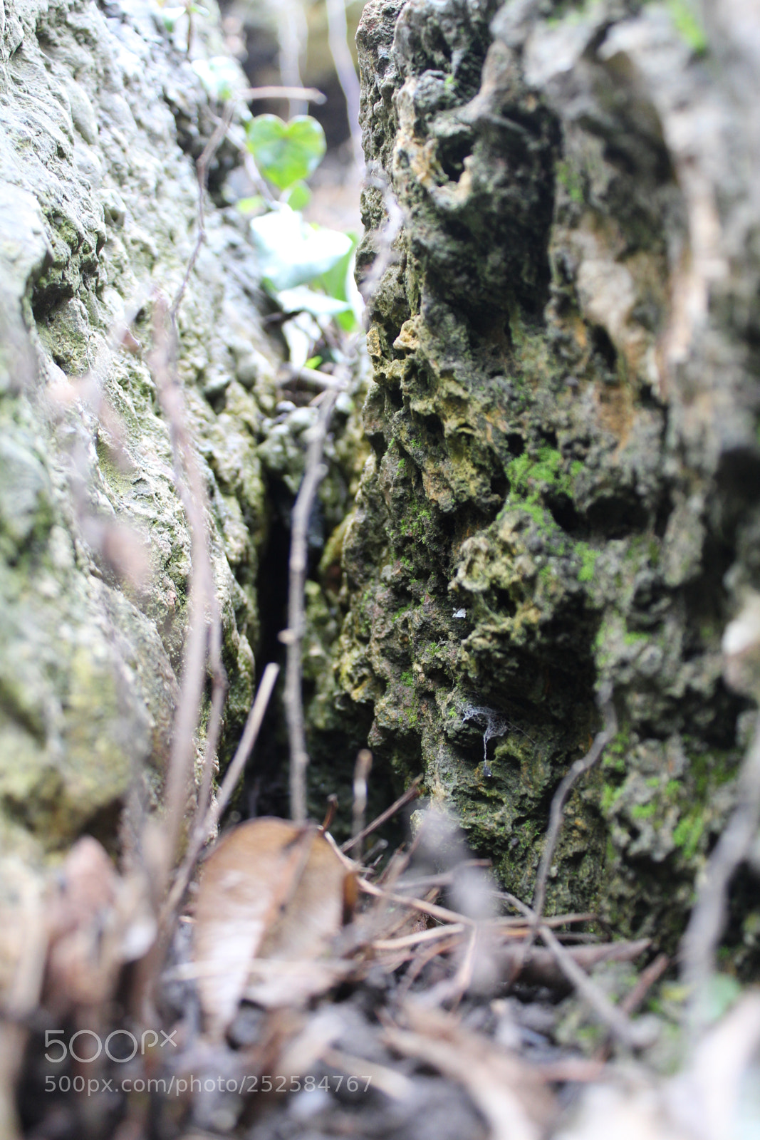 Canon EOS 1300D (EOS Rebel T6 / EOS Kiss X80) sample photo. "cave" photography
