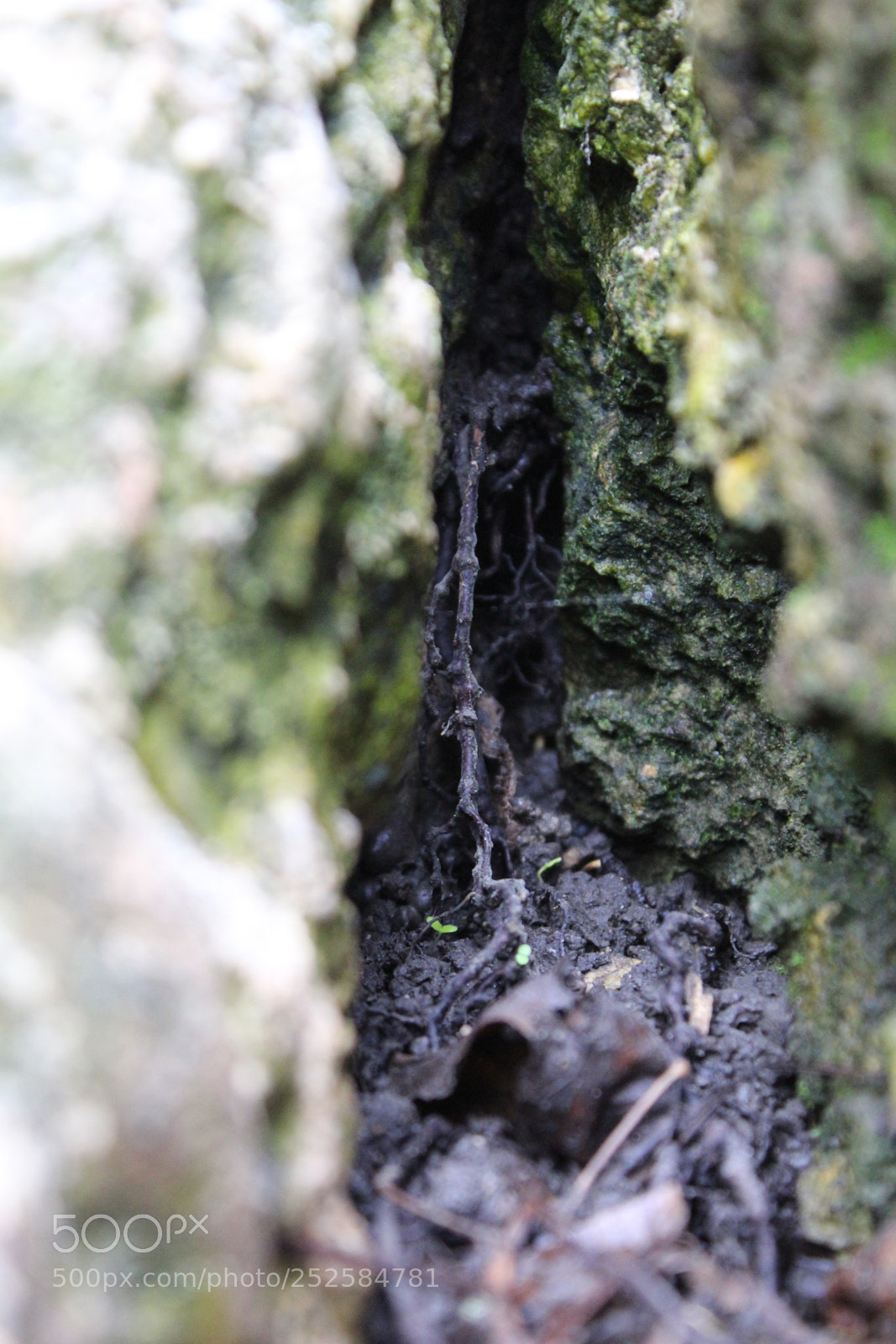 Canon EOS 1300D (EOS Rebel T6 / EOS Kiss X80) sample photo. "cave 2" photography