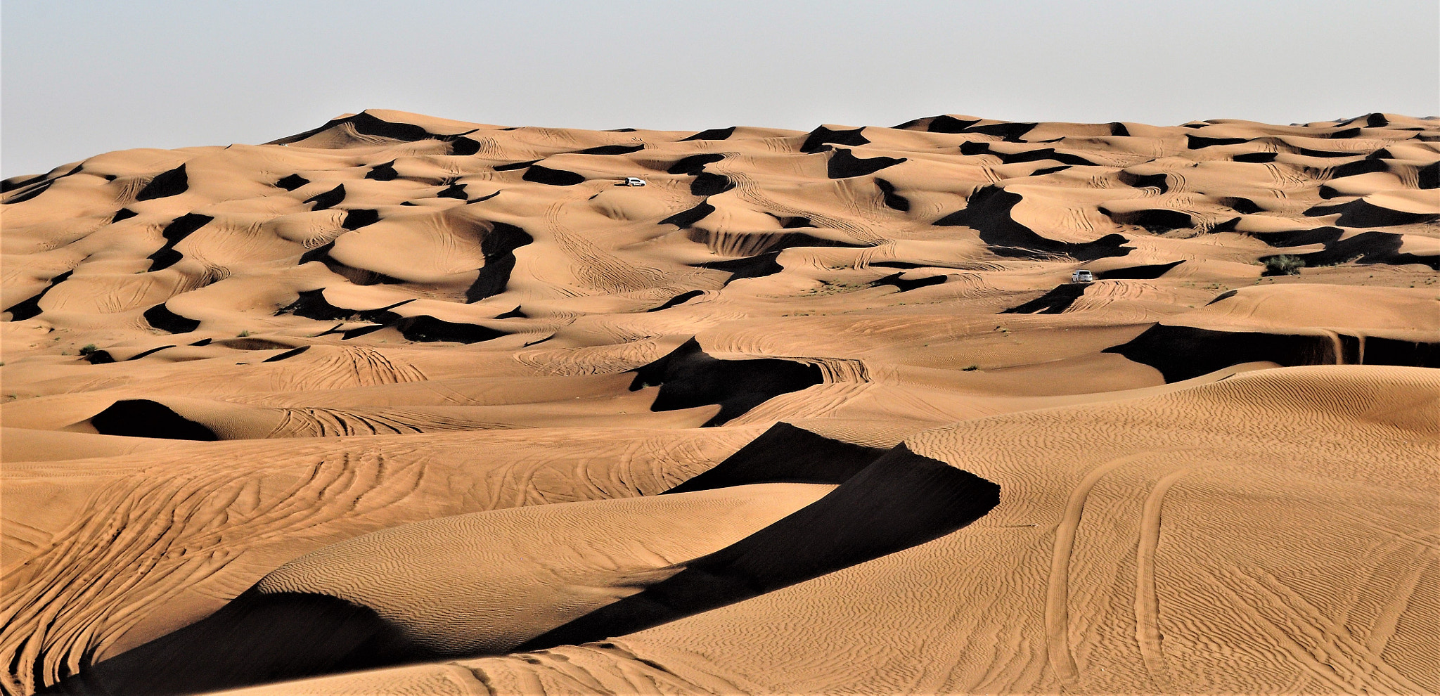 Nikon D90 sample photo. Desert safari photography