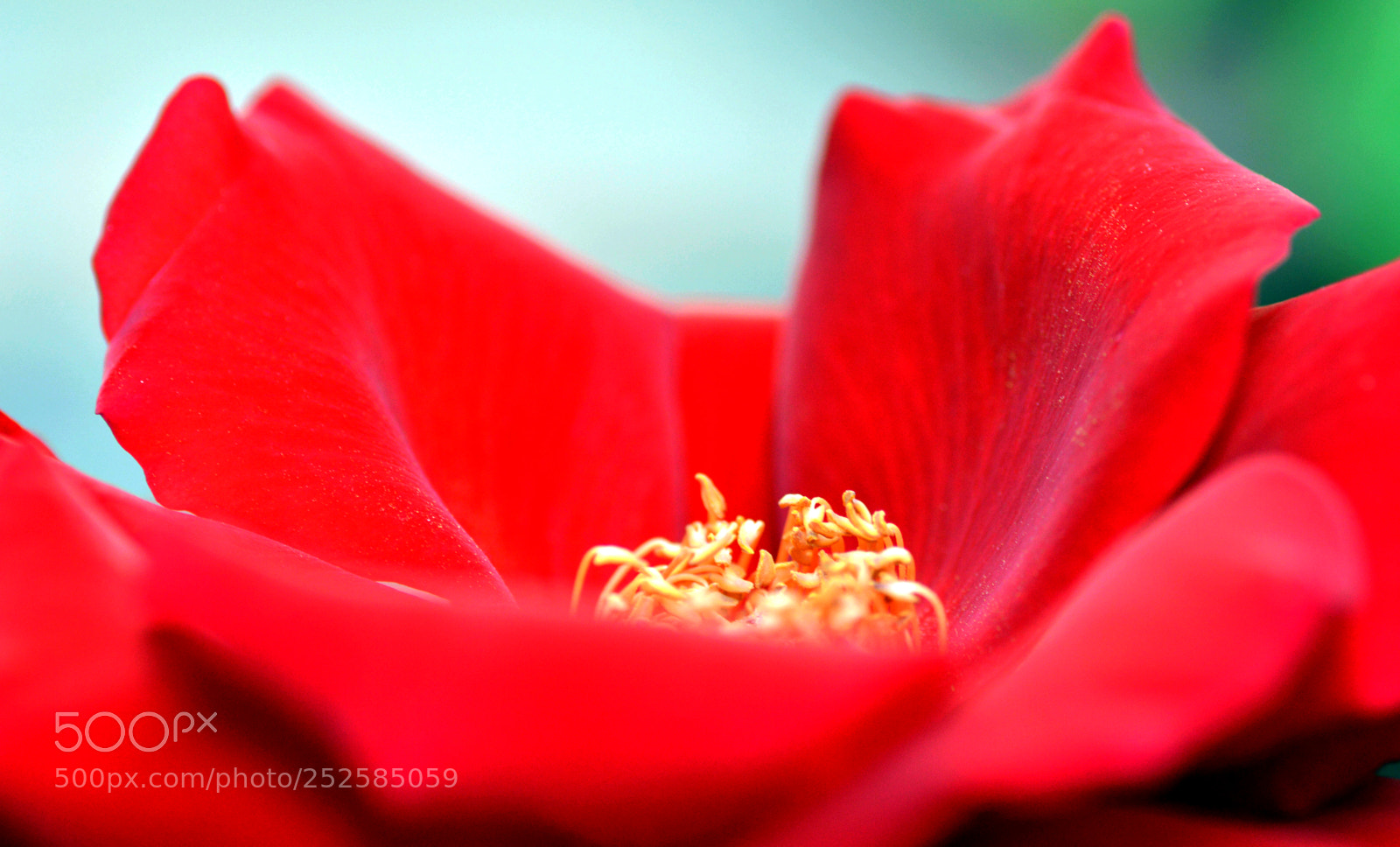 Nikon D3200 sample photo. Bella  naturaleza  de  primavera photography