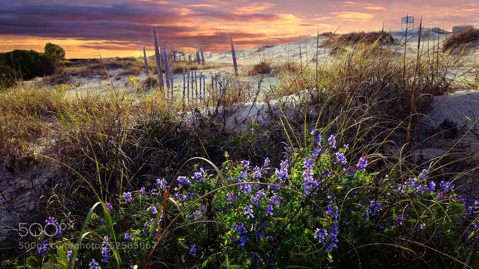 Samsung Galaxy S7 sample photo. Sand dunes oftybee island photography