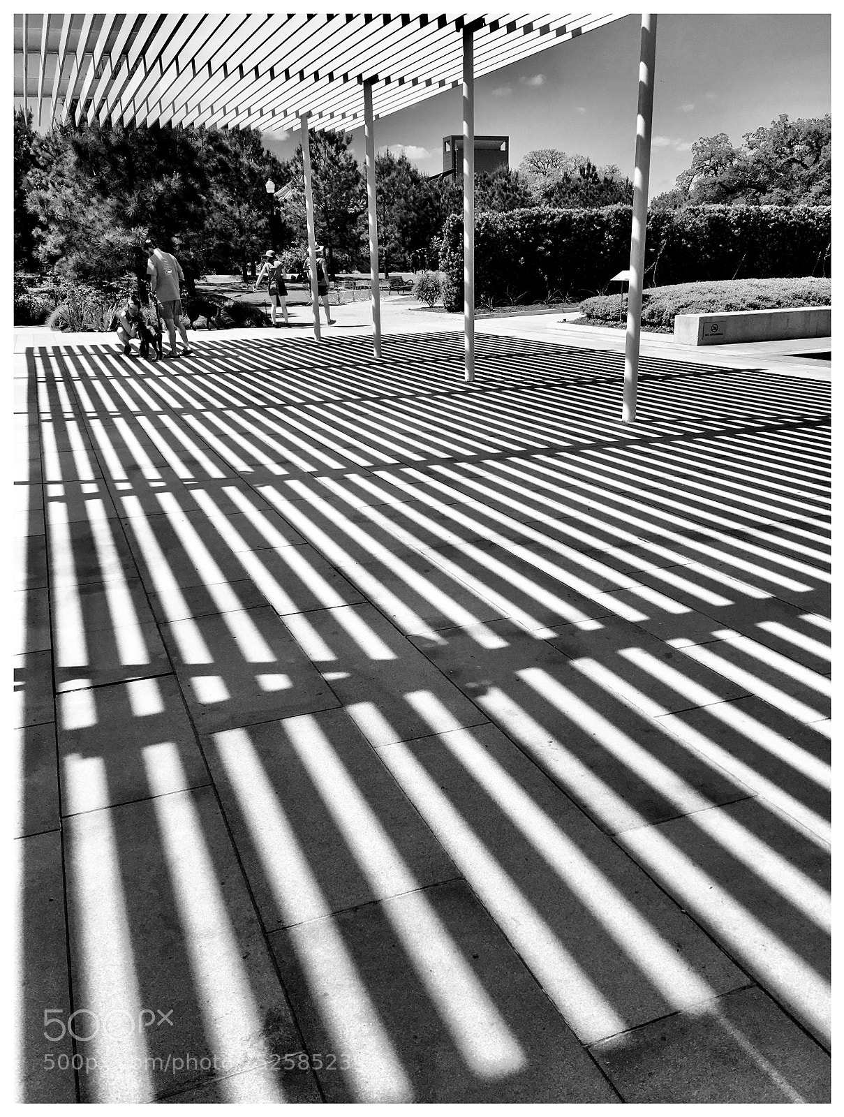 Apple iPhone 6s Plus sample photo. #parallelshadows photography