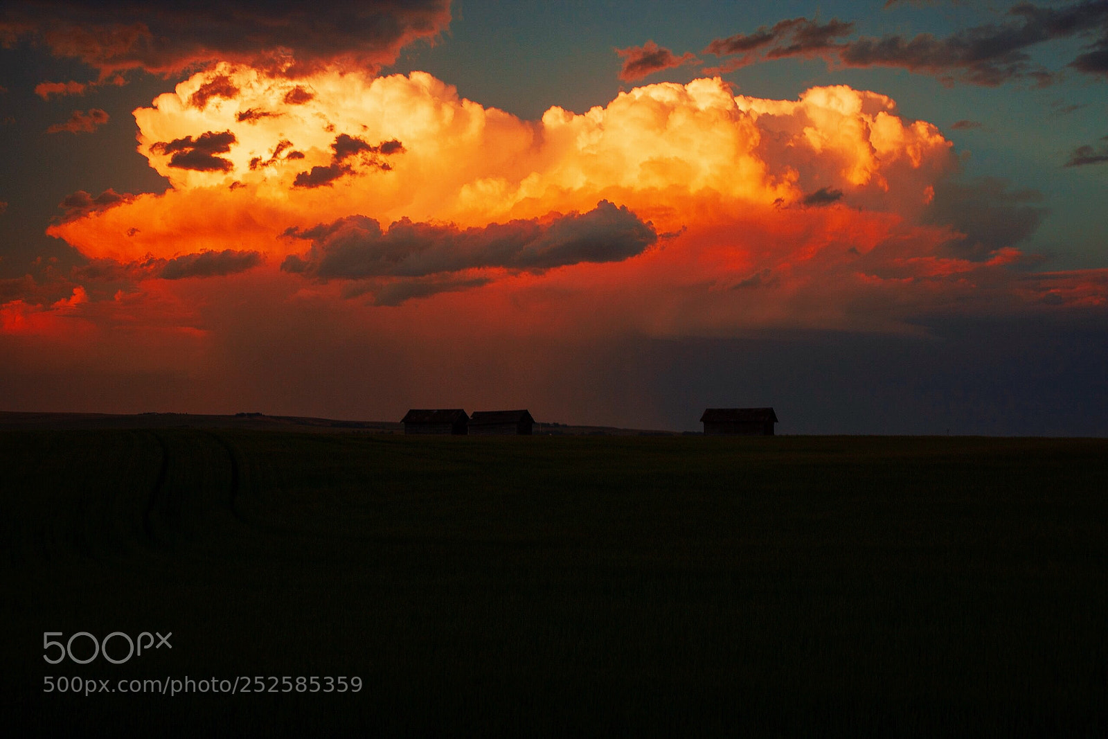 Canon EOS 5D Mark II sample photo. Sunset  photography