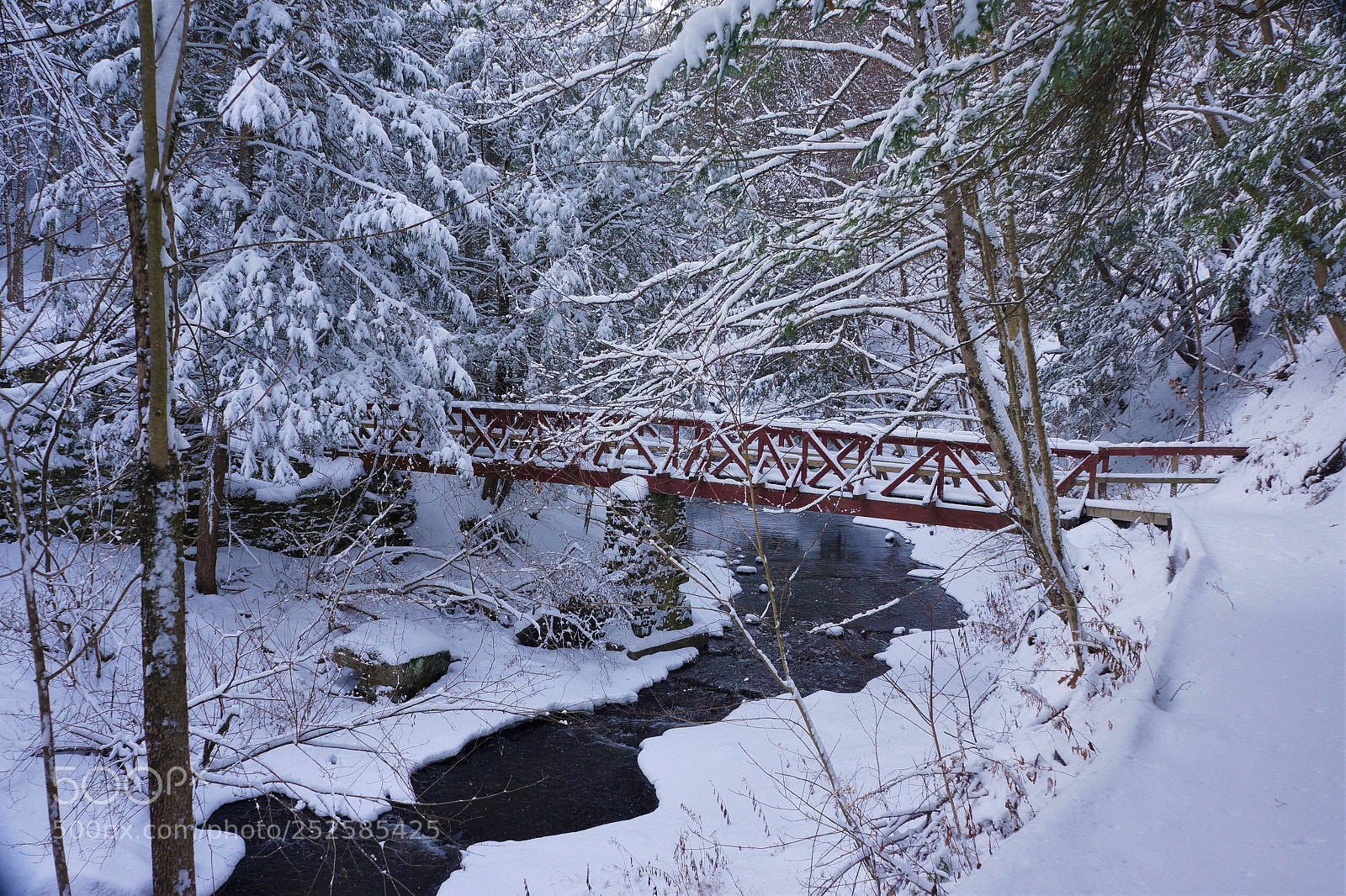 Sony Alpha NEX-7 sample photo. Winter bridge photography