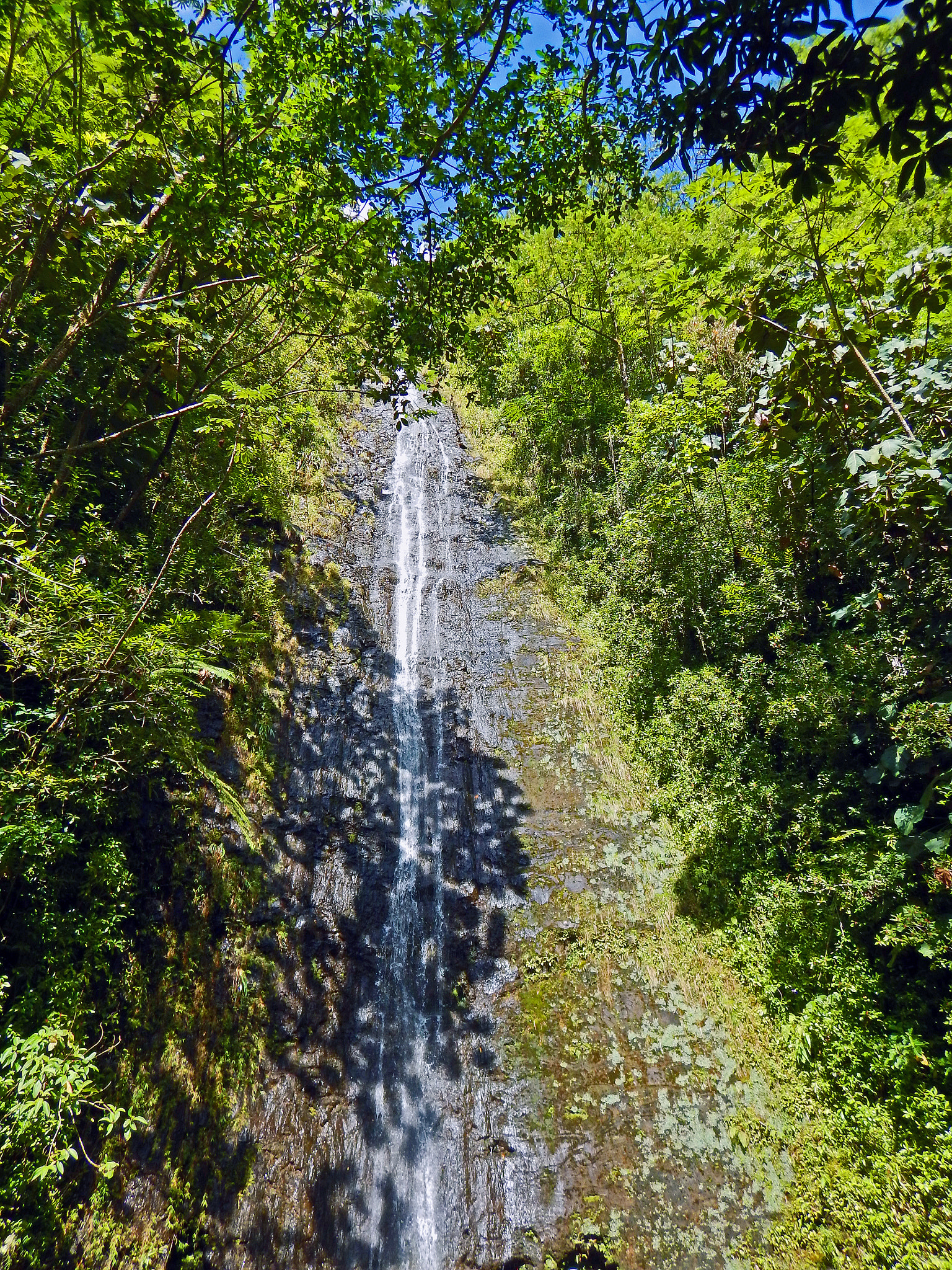 Nikon Coolpix AW130 sample photo. Pauoa flats trail oahu 7 photography