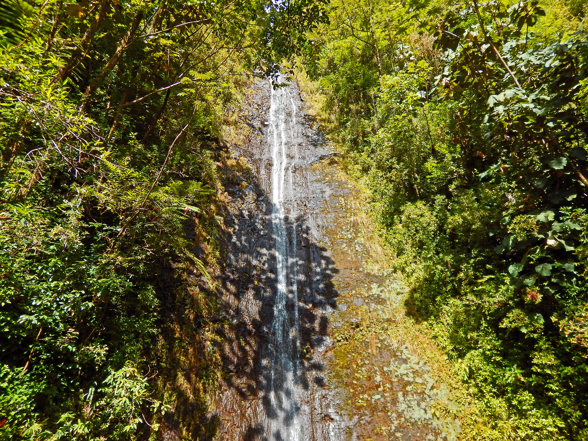 Nikon Coolpix AW130 sample photo. Pauoa flats trail oahu 8 photography