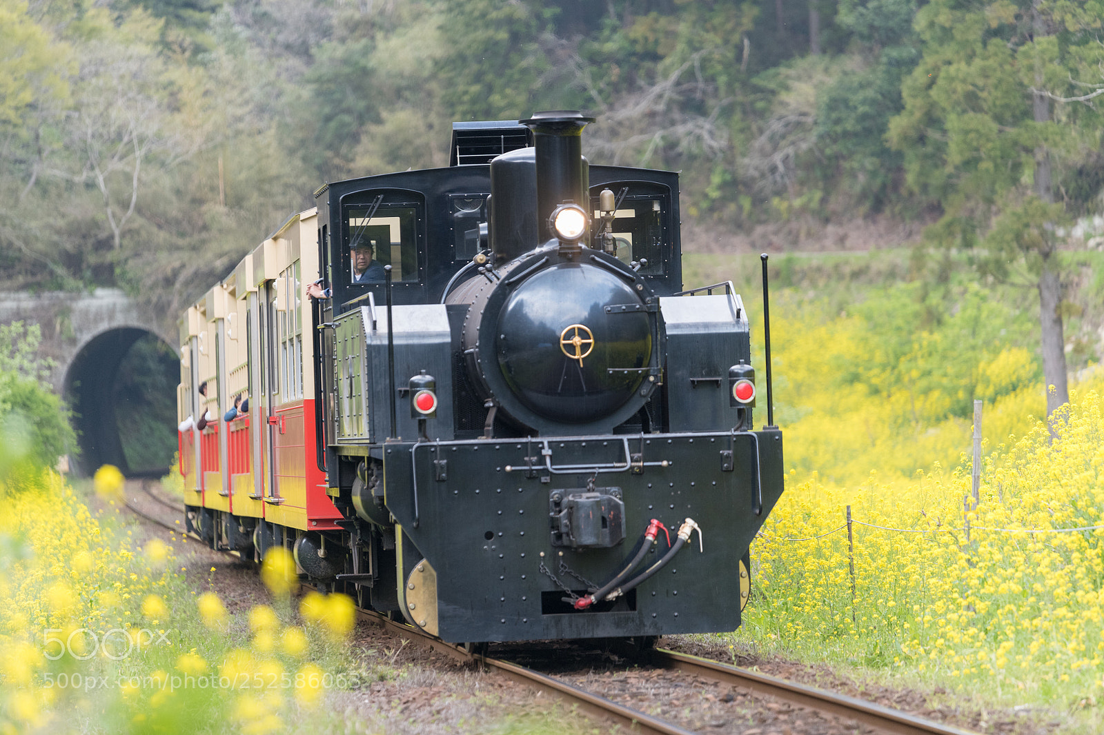 Nikon D850 sample photo. Steam locomotive yorokeikoku station photography