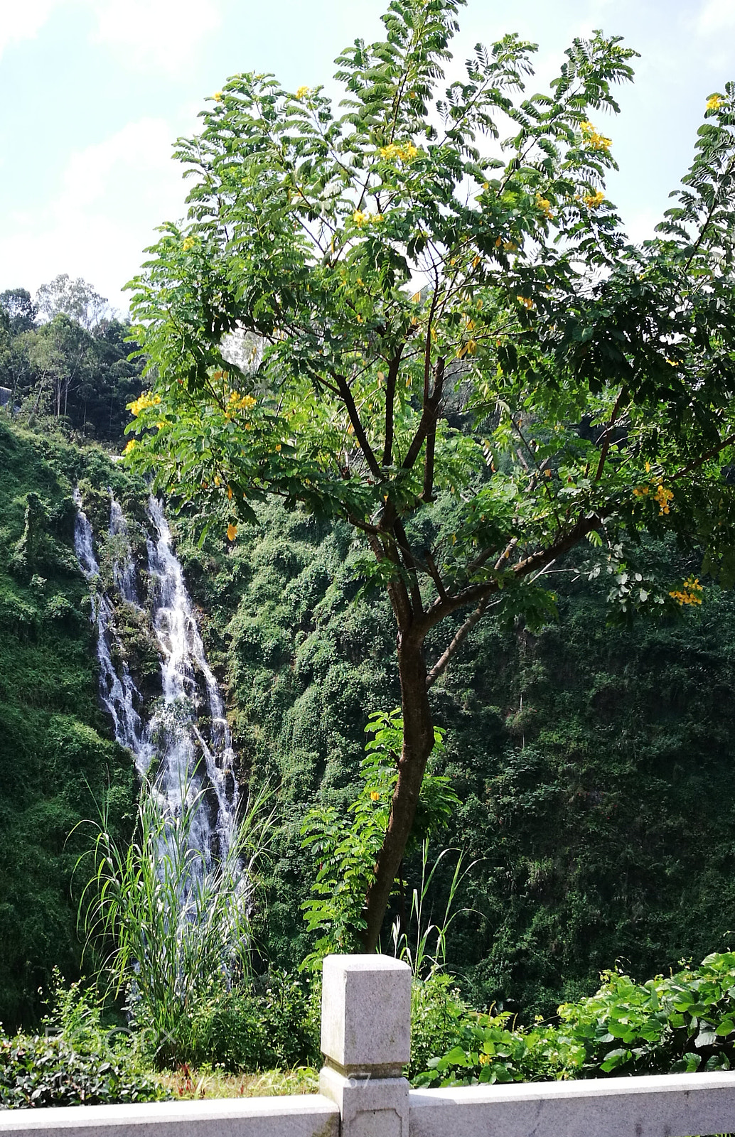 HUAWEI P9 Plus sample photo. Untitled photography