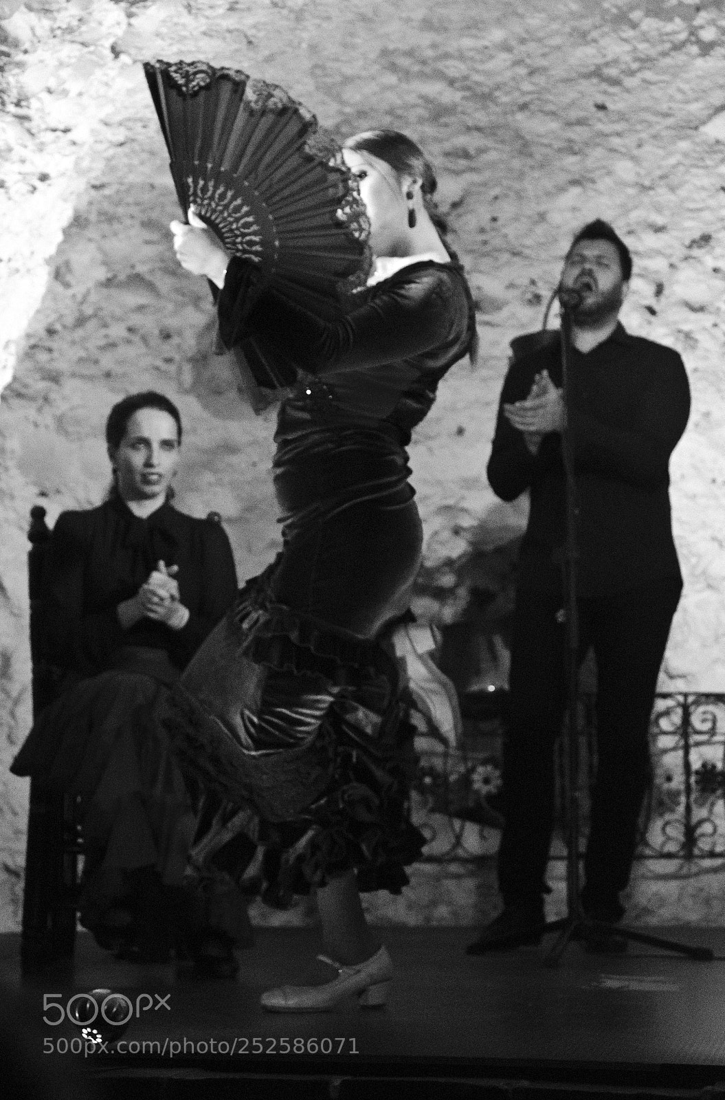 Nikon D7000 sample photo. Flamenco photography