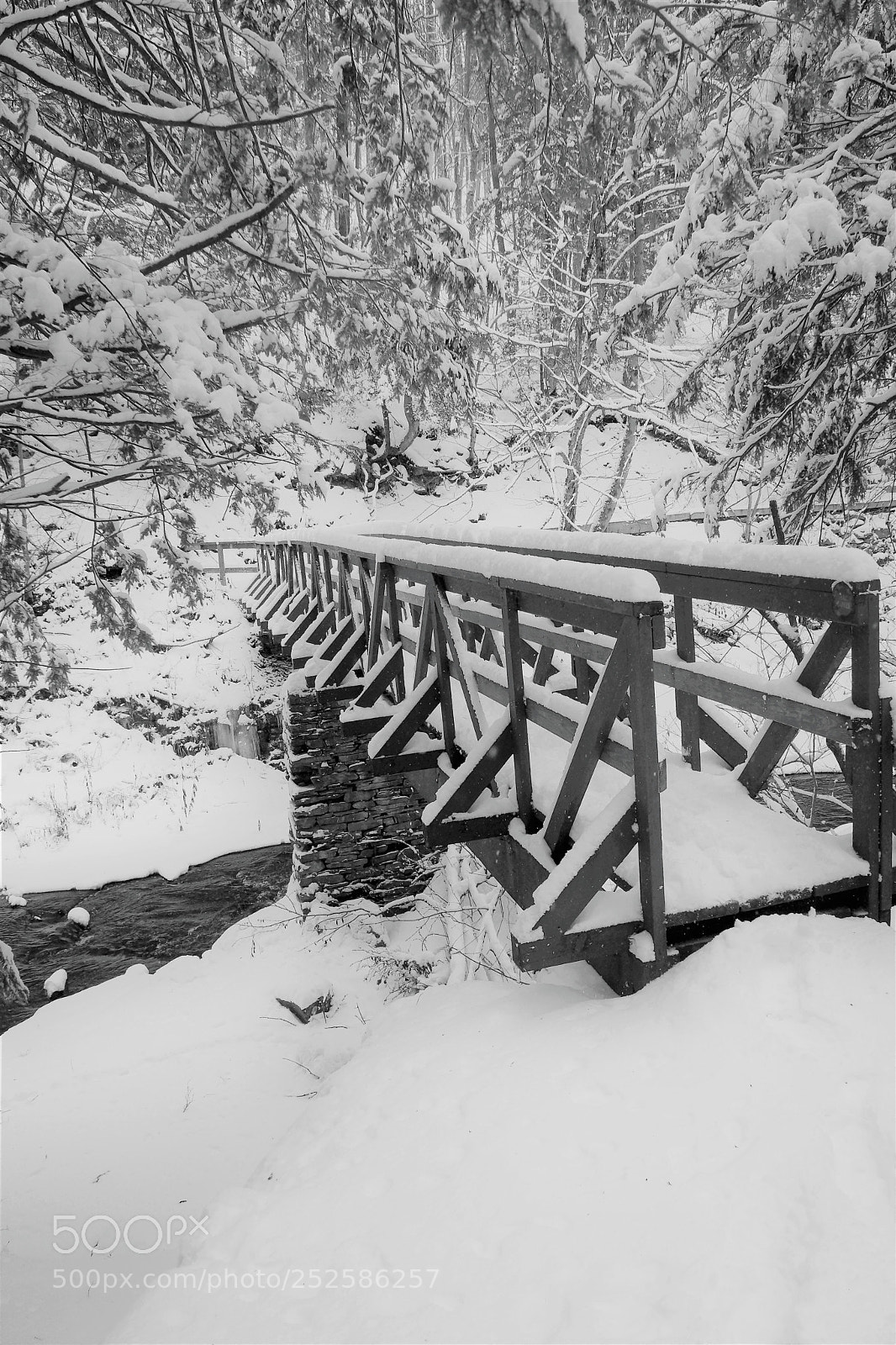 Sony Alpha NEX-7 sample photo. Winter bridge 2 photography