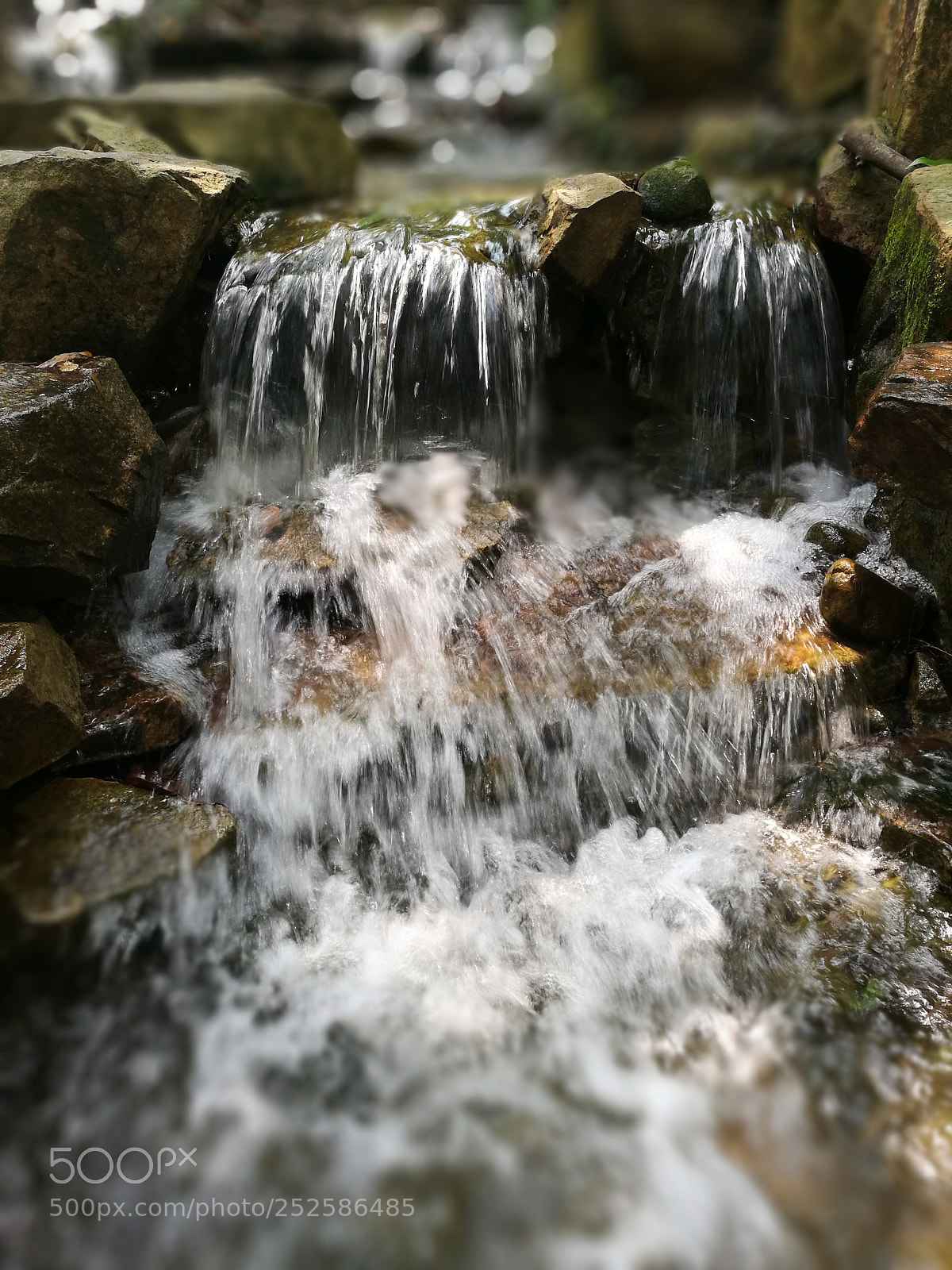 HUAWEI P9 Plus sample photo. Untitled photography