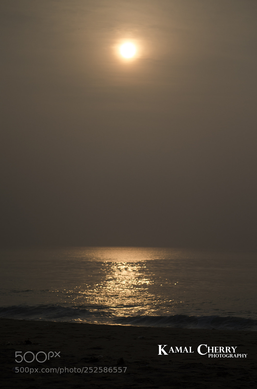Nikon D5100 sample photo. 6.jpg photography