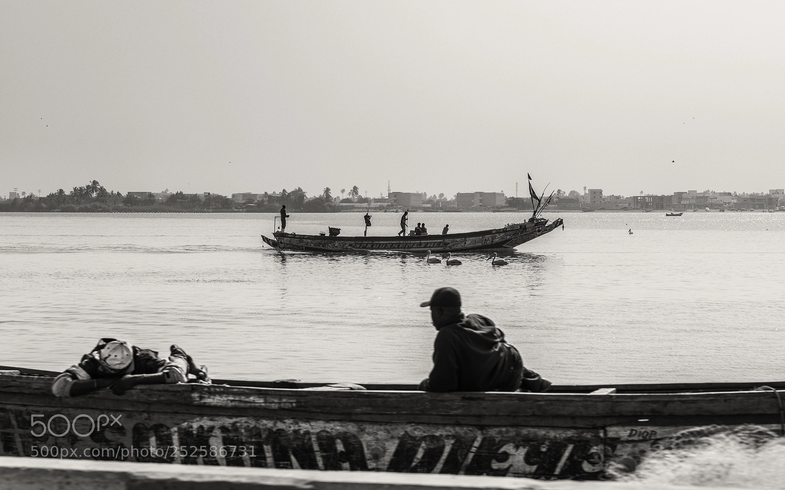 Nikon D800 sample photo. At the senegal river photography